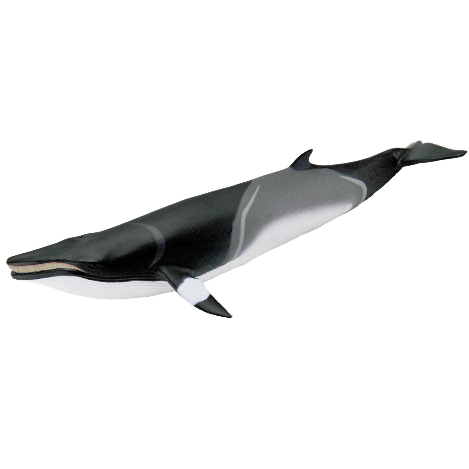 Safari Ltd. - Minke Whale Kids Toy Figure