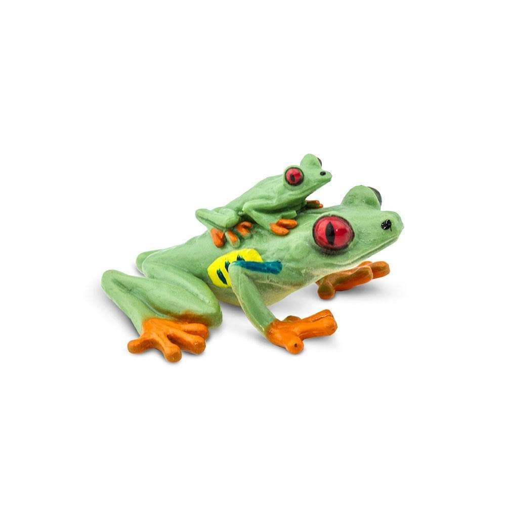 Safari Ltd. - Red-eyed Tree Frog Kids Toy Figure
