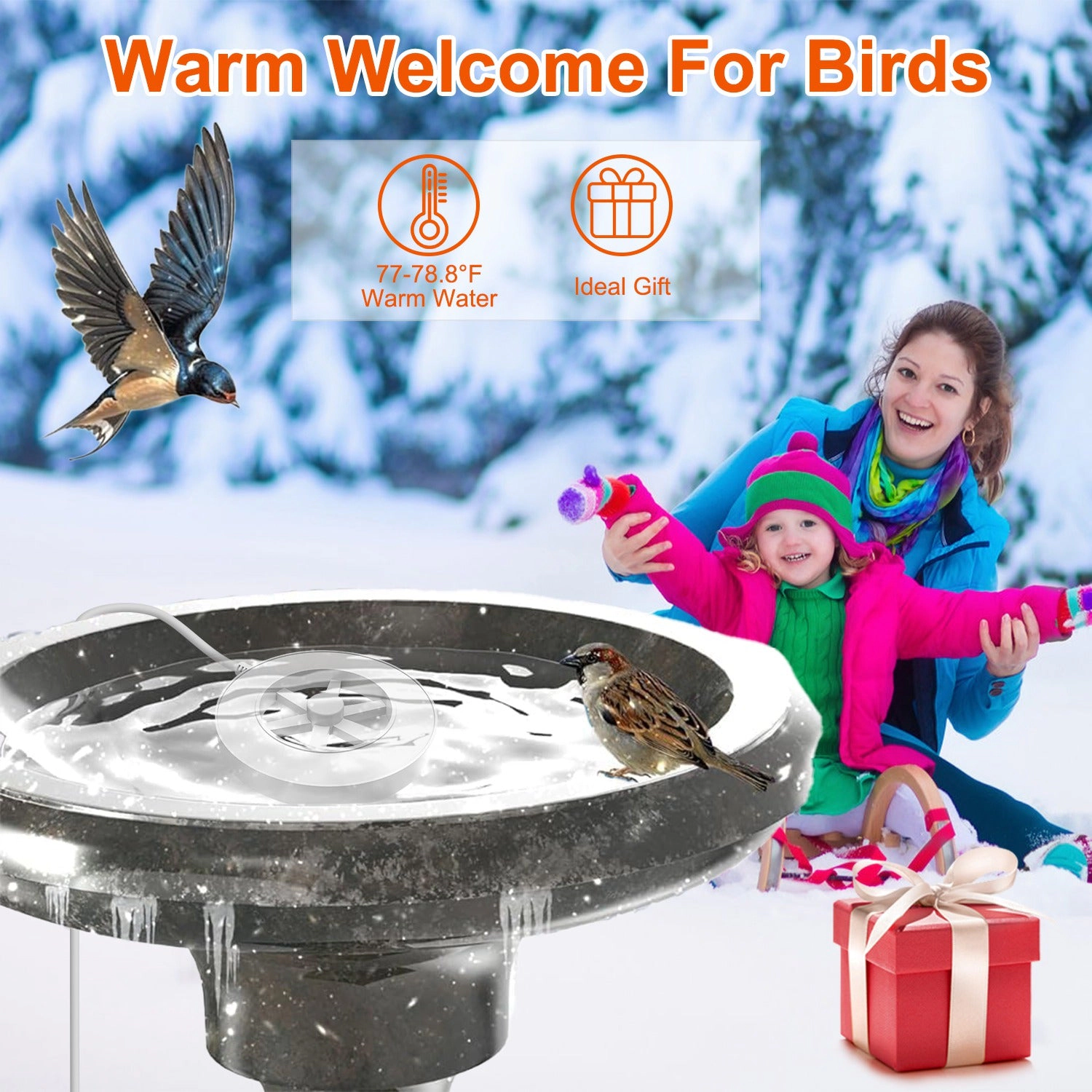 GBruno 70W Thermostat Bird Bath Heater With Auto Shutoff