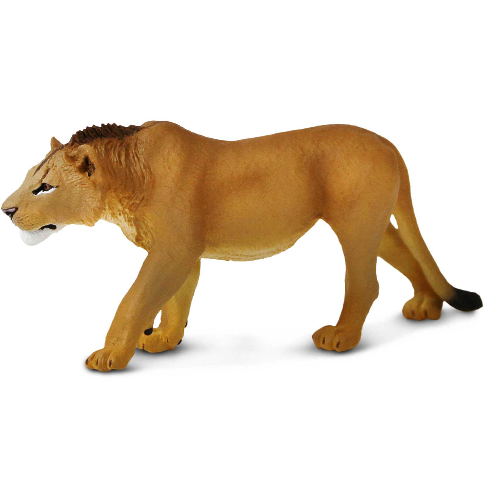 Safari Ltd. - Adolescent Male Lion Kids Toy Figure