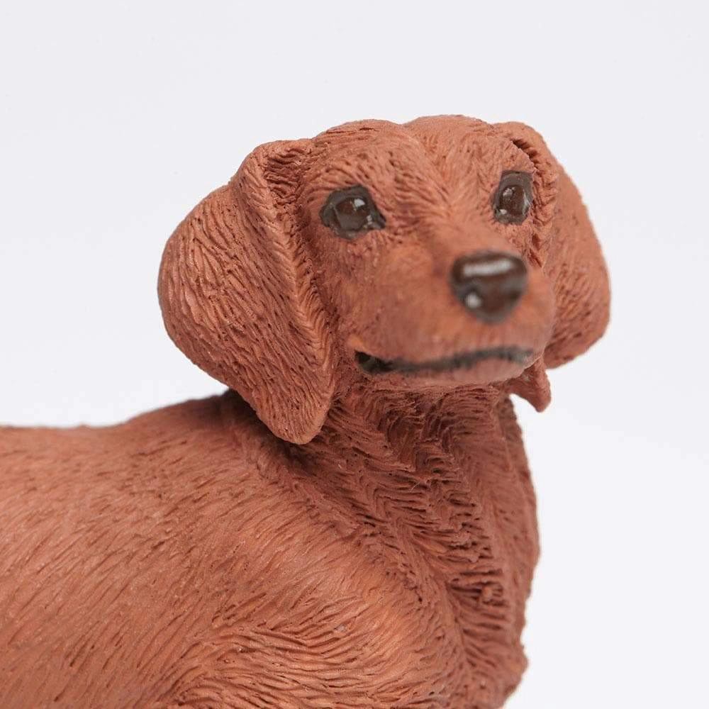 Safari Ltd. - Dachshund Kids Toy Figure