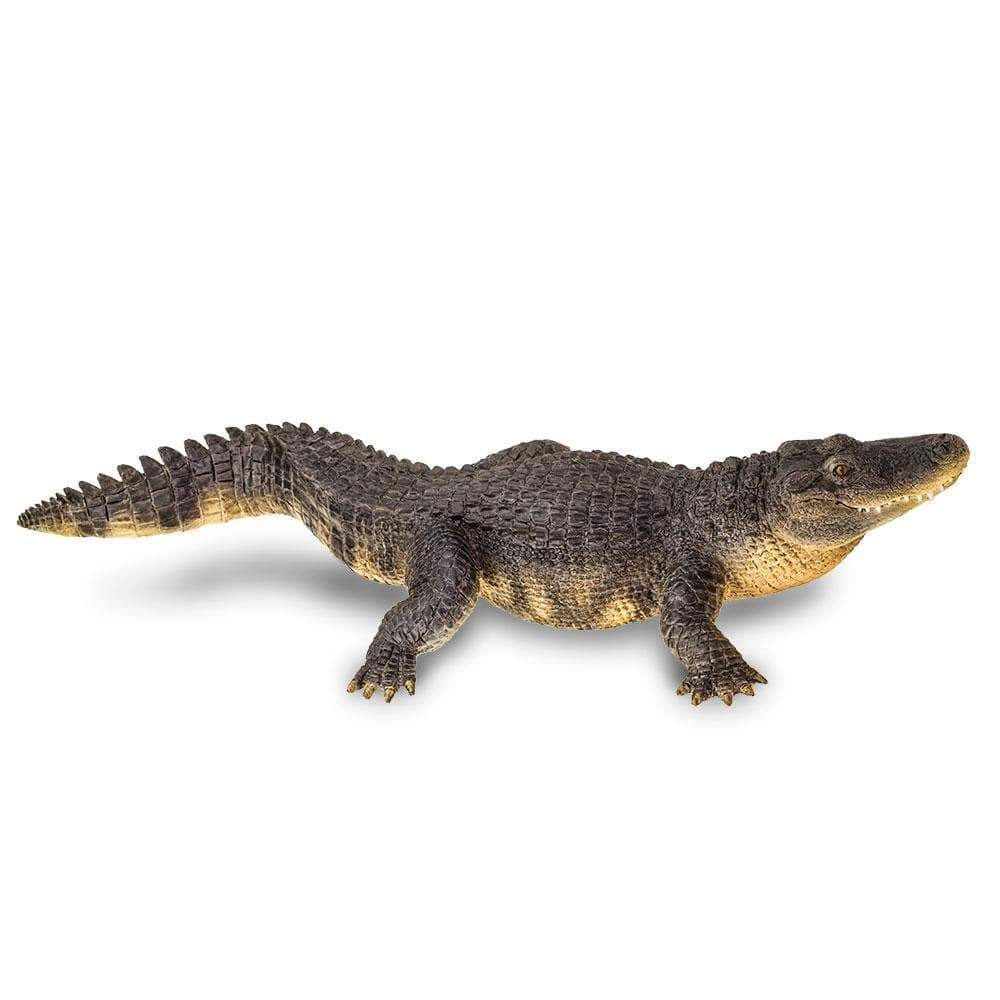 Safari Ltd. - Alligator Kids Toy Figure