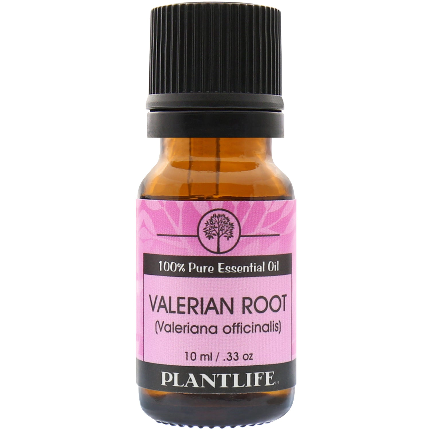Plantlife Valerian Root Essential Oil