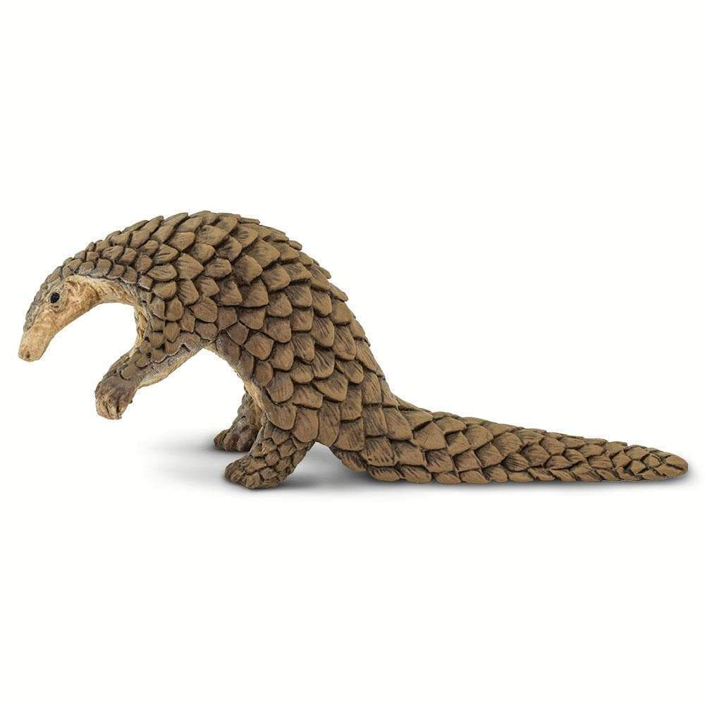 Safari Ltd. - Pangolin Kids Toy Figure