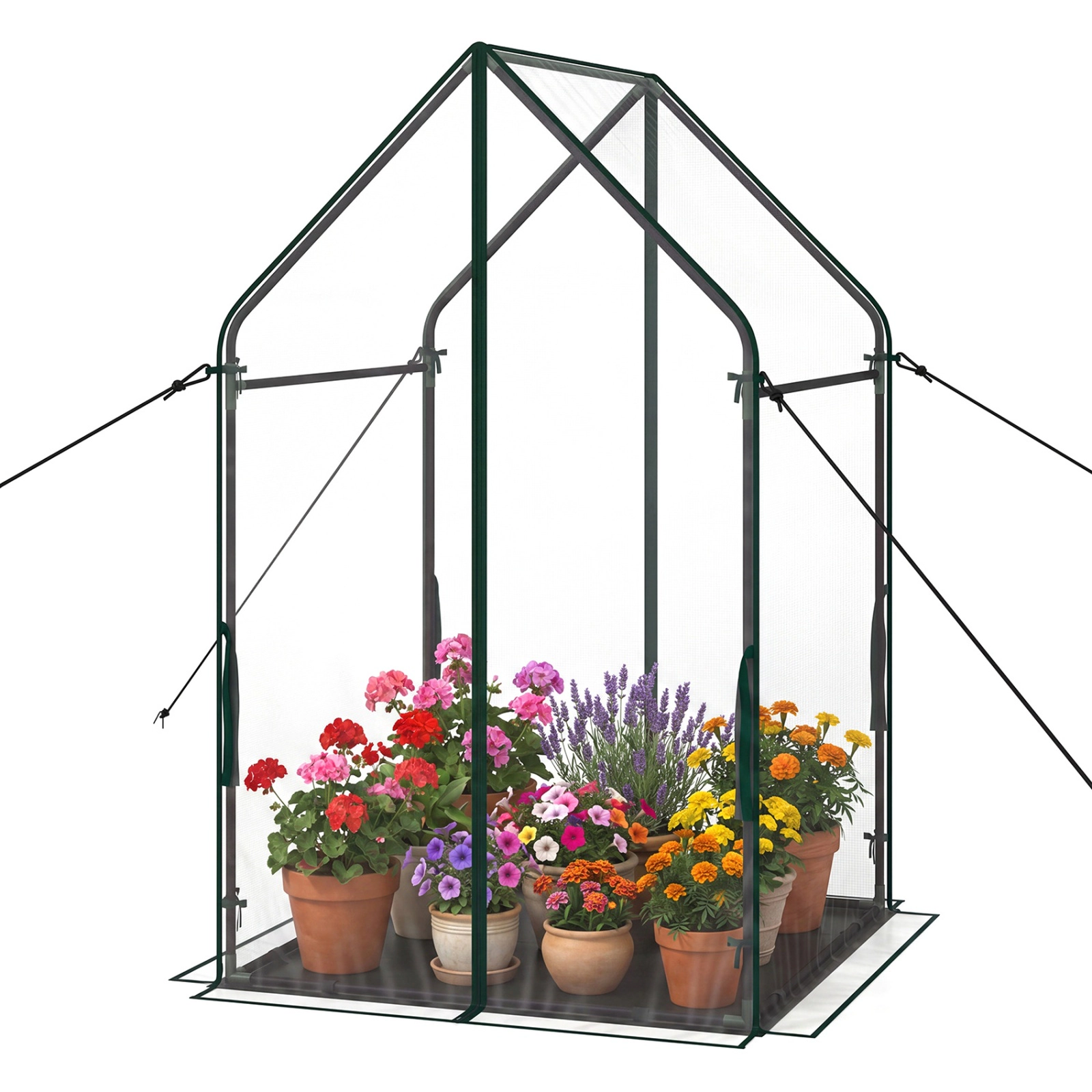 SUGIFT Clear 36-in x 36-in Mini Greenhouse with Metal Frame Waterproof Bottom Mat and Ground Stakes