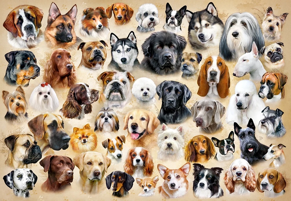 CASTORLAND 1500 Piece Jigsaw Puzzles, Collage with Dogs, Challenging Multi-Pet Portrait, C-151943-2