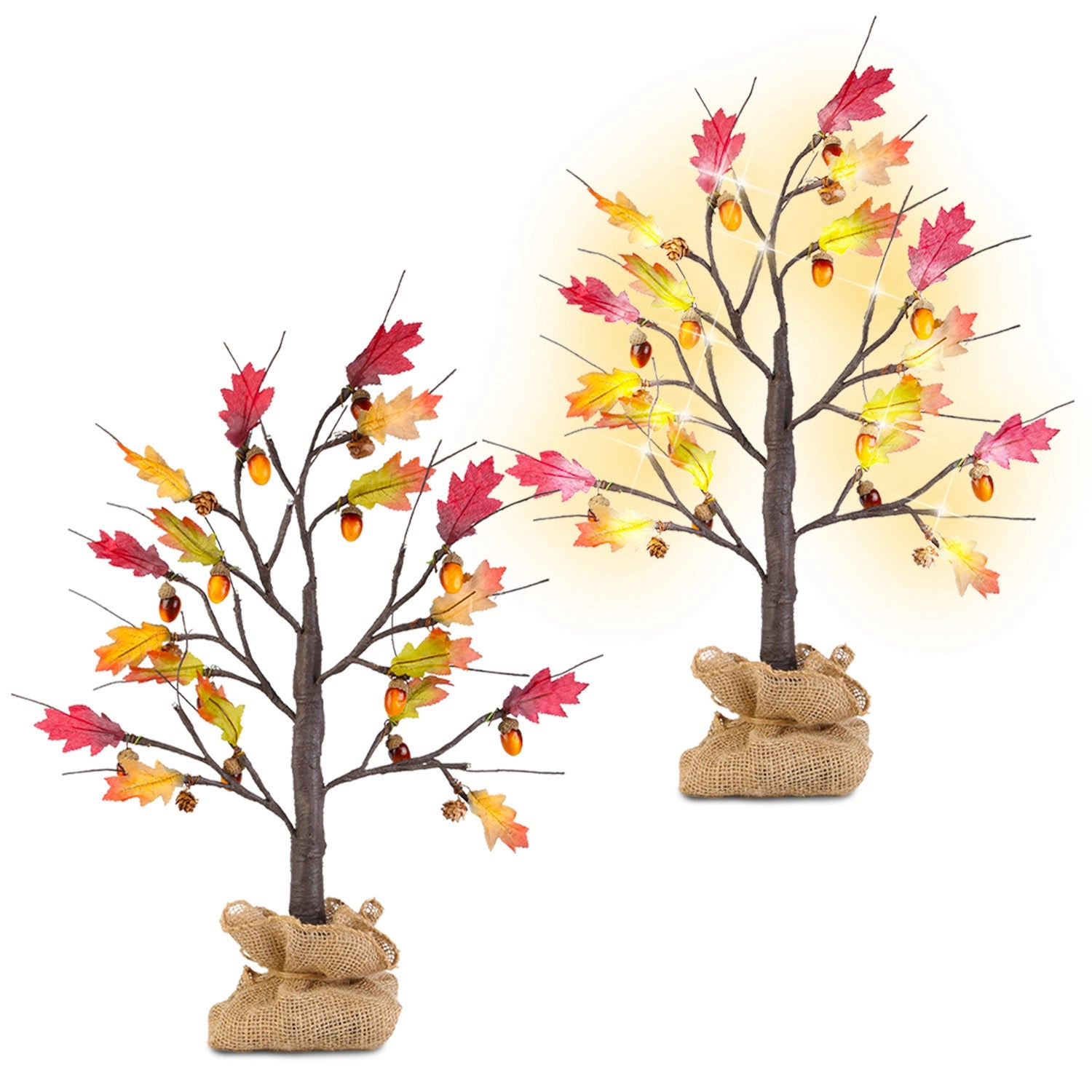 GBruno 2-Piece LED Lighted Maple Tree Set