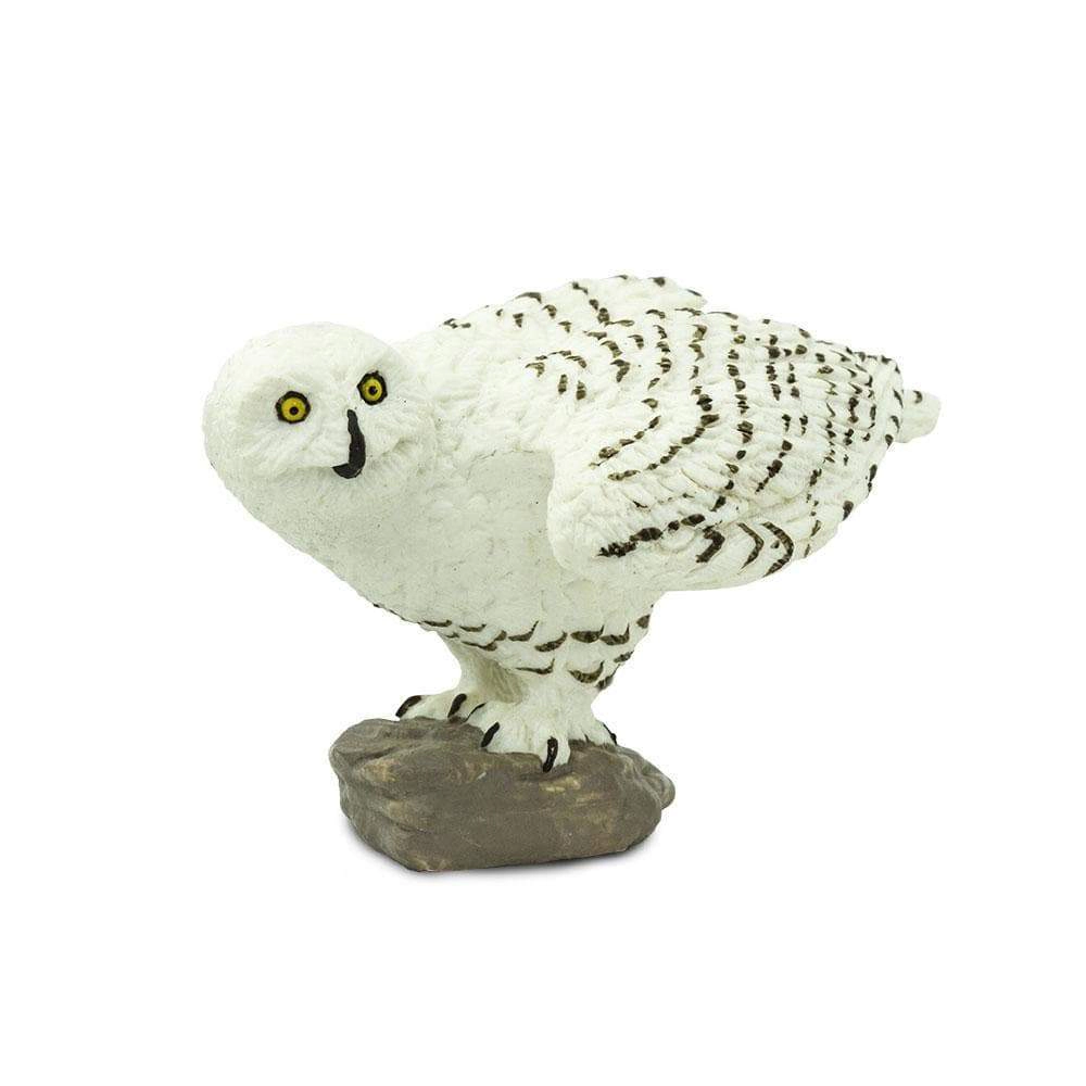 Safari Ltd. - Snowy Owl Kids Toy Figure