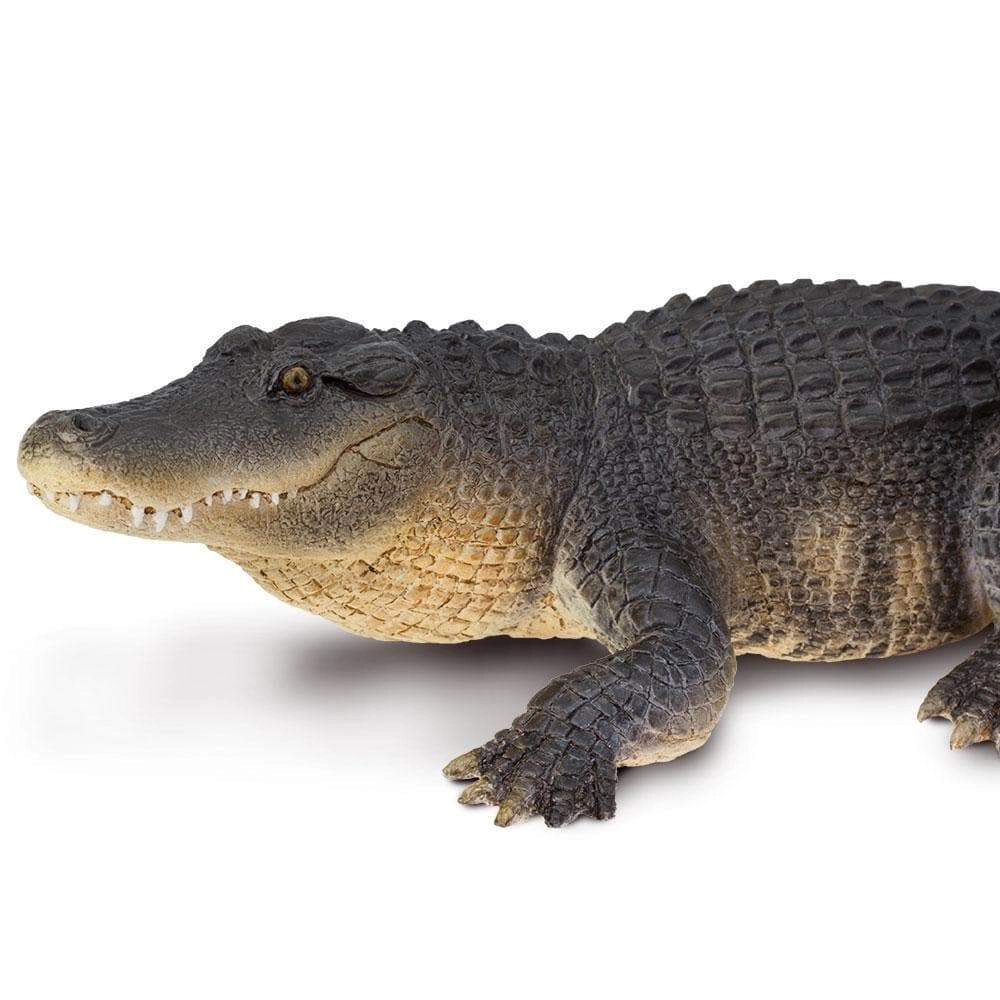 Safari Ltd. - Alligator Kids Toy Figure