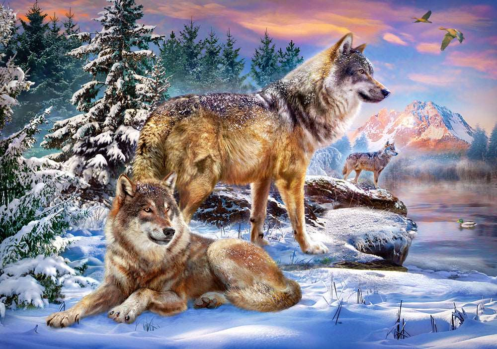 CASTORLAND 500 Piece Jigsaw Puzzle, Wolfish Wonderland, Winter scenary, Animal Puzzle, Adult Puzzles, Castorland B-53049
