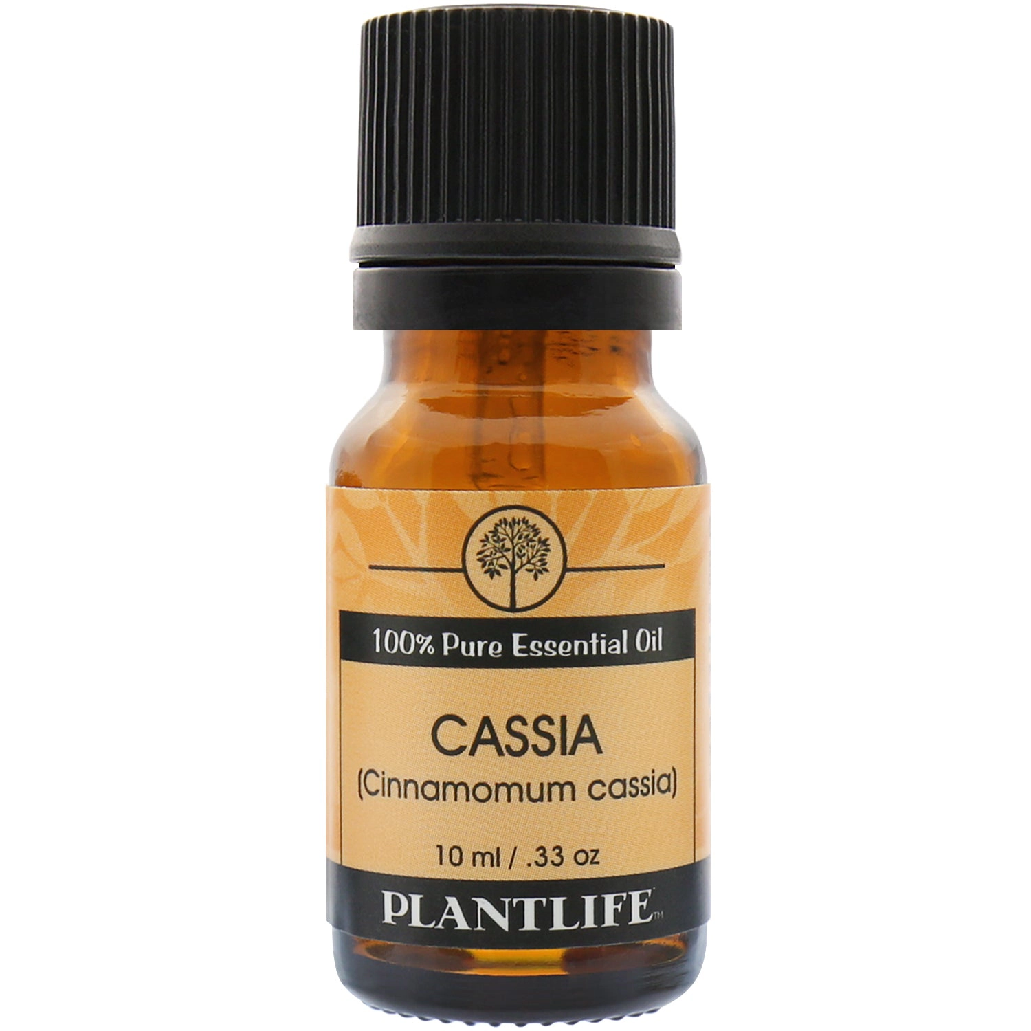 Plantlife Cassia Essential Oil