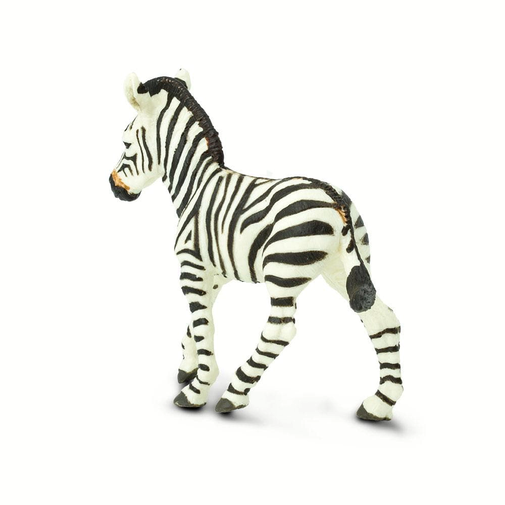 Safari Ltd. - Zebra Foal Kids Toy Figure