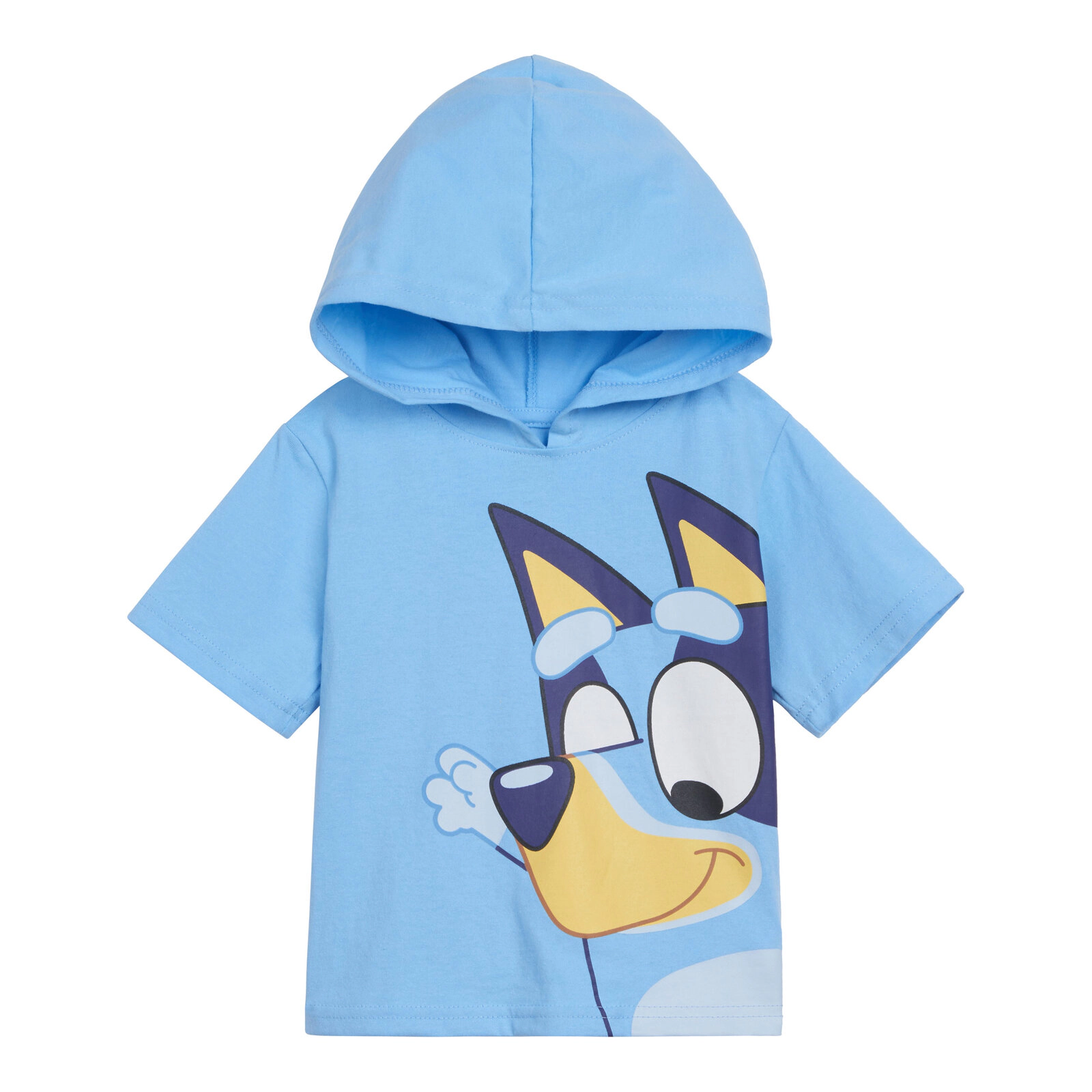 Bluey Boys' 2-Piece Hooded Tee and Shorts Set