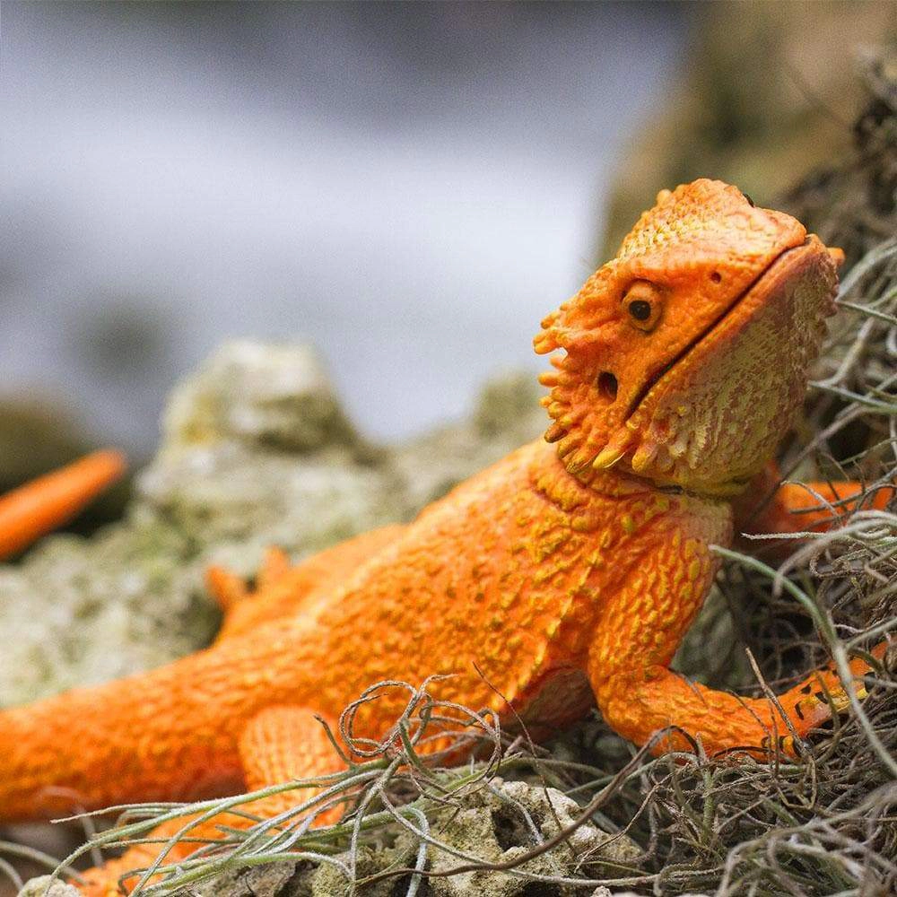Safari Ltd. - Bearded Dragon Kids Toy Figure