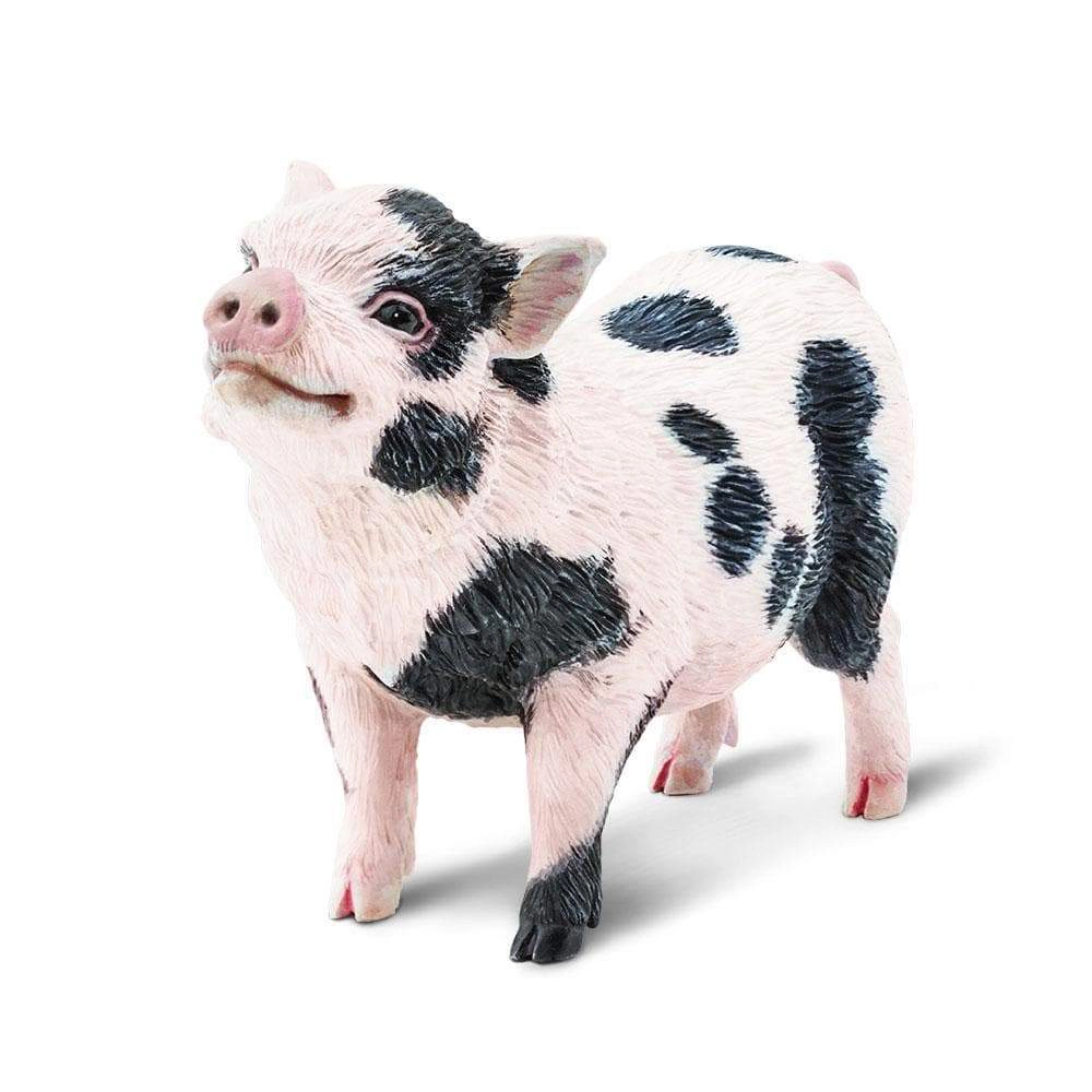 Safari Ltd. - Pot Bellied Pig Kids Toy Figure