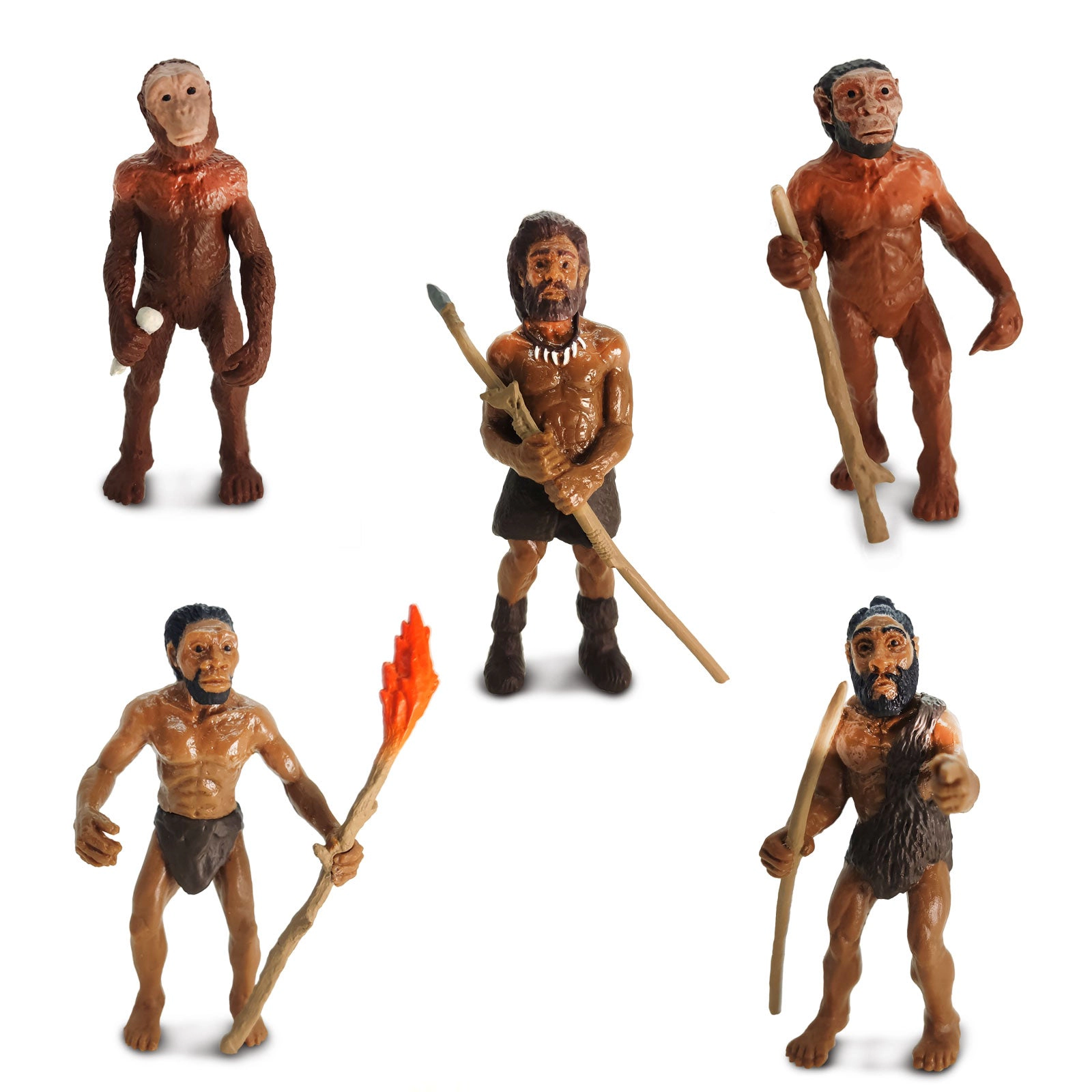 Safari Ltd. - Evolution of Man - Educational Human Evolution Toy Figurines