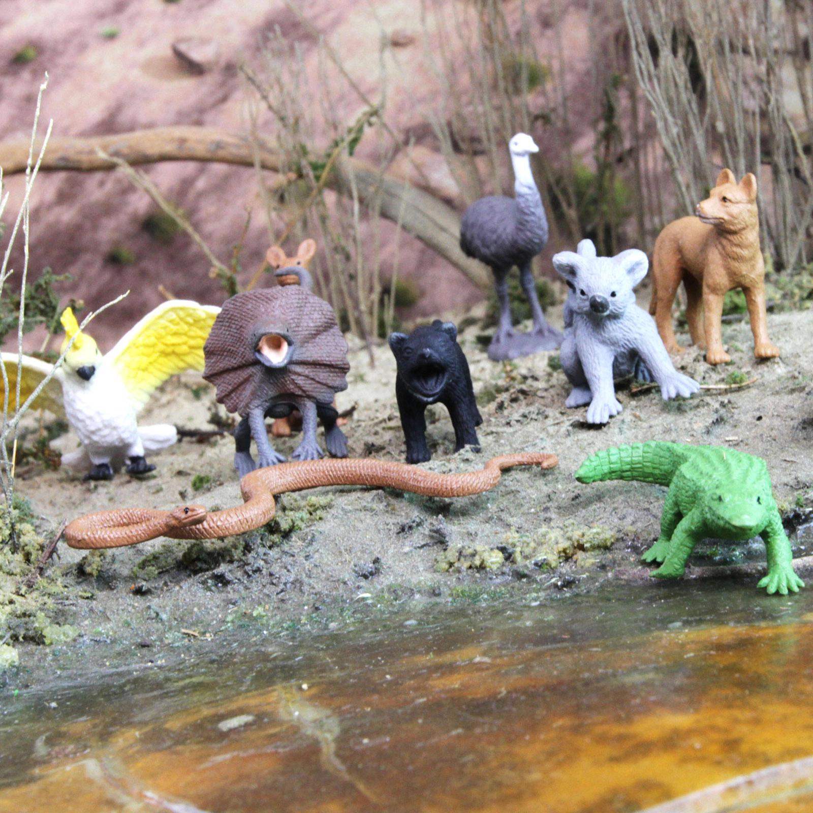 Safari Ltd. - Australian Animals TOOB - contains 11 Mini Figurines