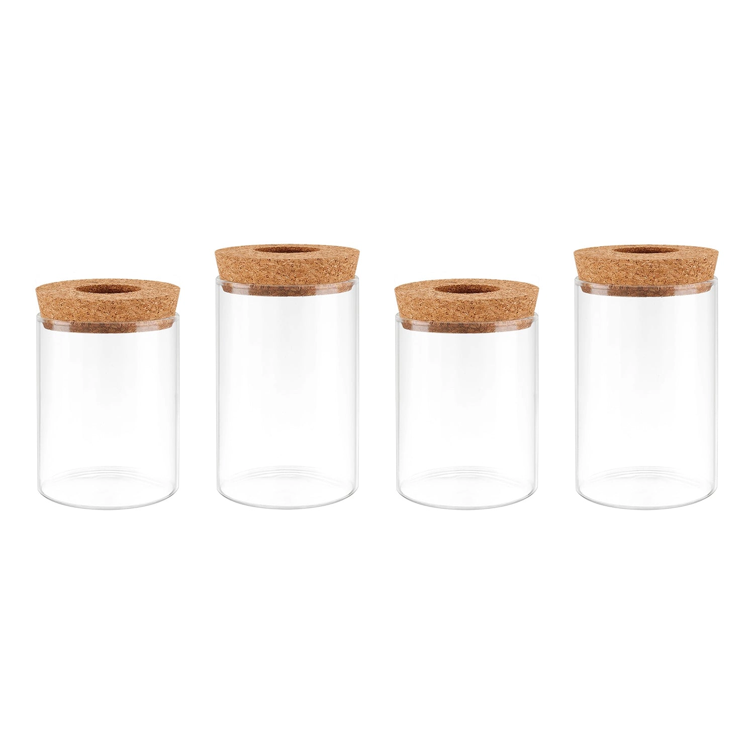 GBruno Glass Propagation Stations With Cork Lids