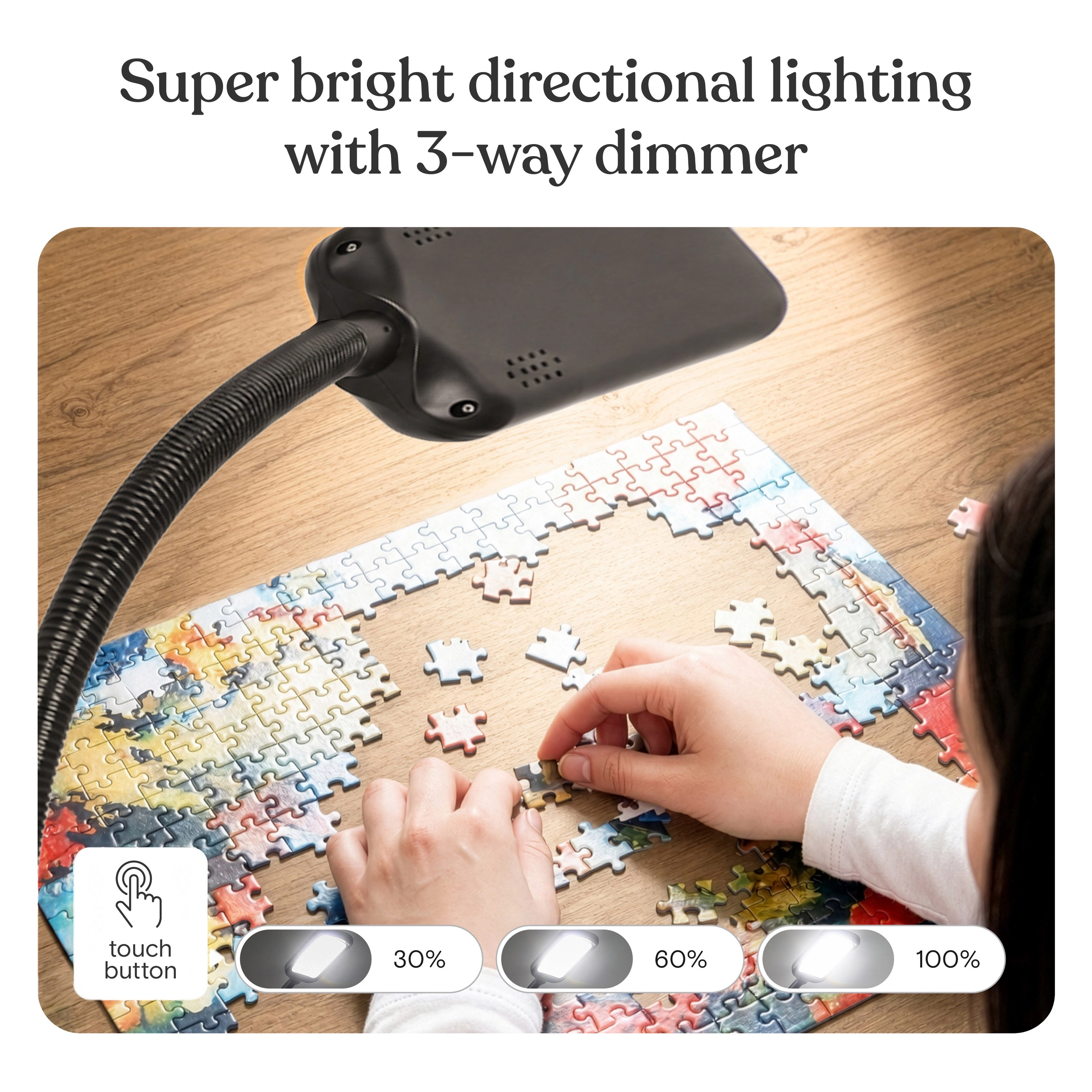 Brightech Litespan 2 in 1 Gooseneck Floor Lamp