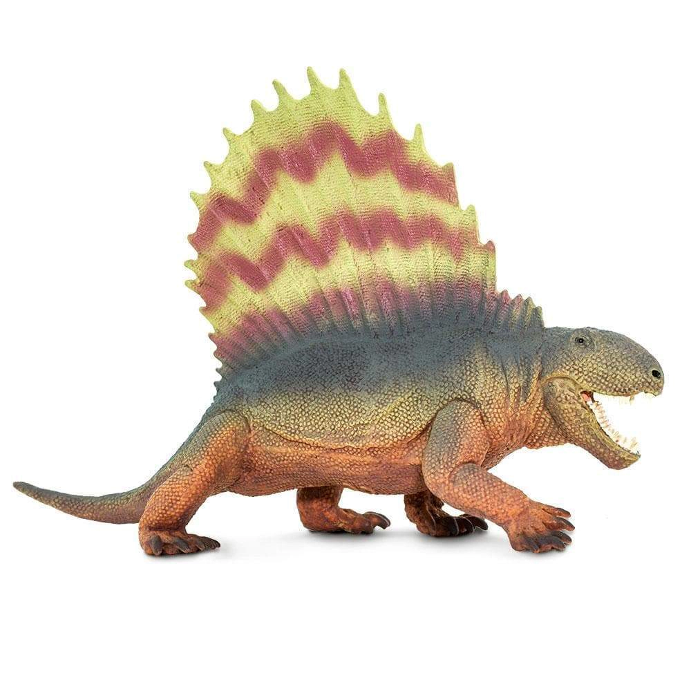Safari Ltd. - Dimetrodon Kids Prehistoric/Dinosaur Toy Figure