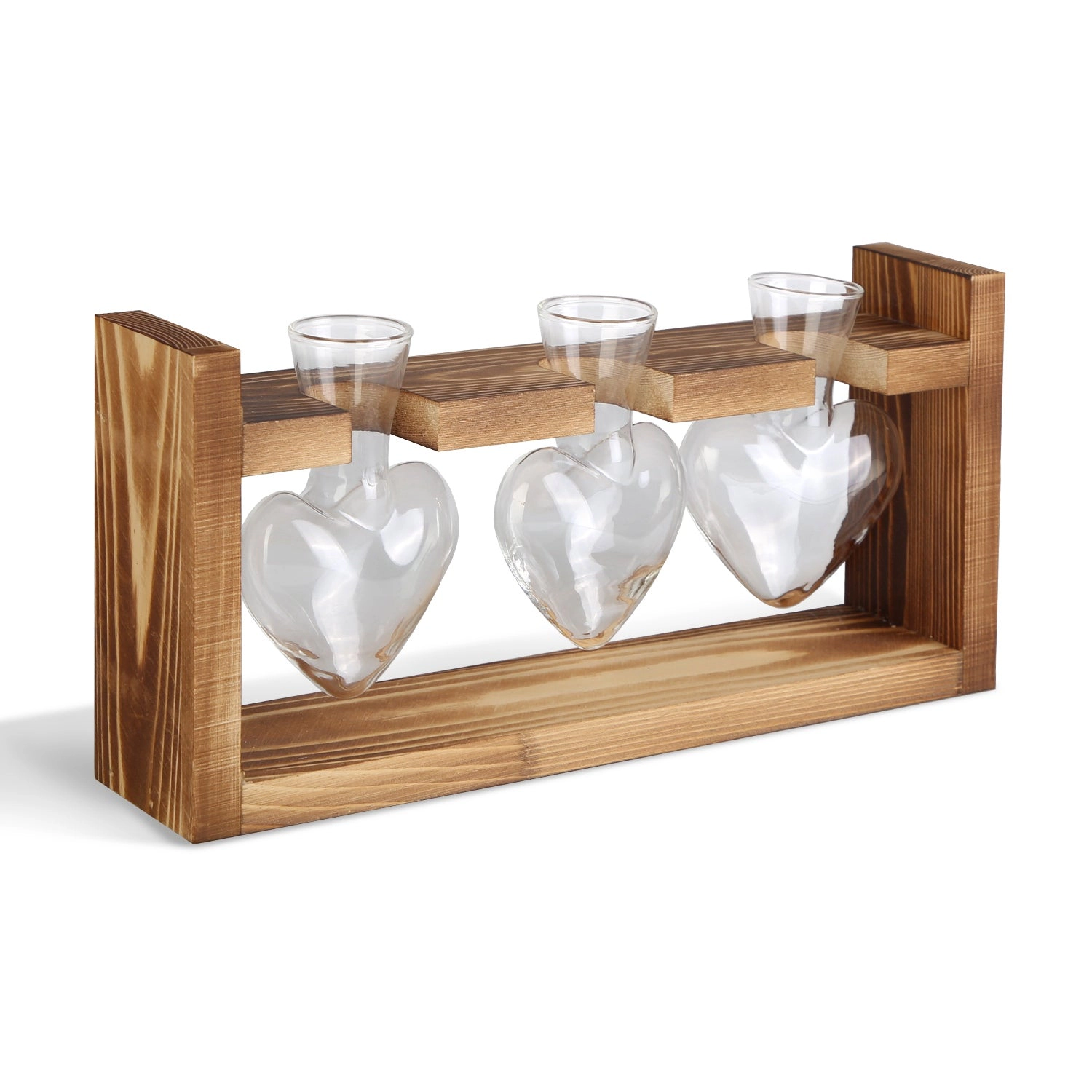 GBruno Heart-Shaped Plant Propagation Station