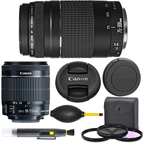 Canon EF-S 18-55mm f/3.5-5.6 is STM Lens (8114B002) + Canon EF 75-300mm f/4-5.6 III Lens (6473A003) + AOM Pro Starter