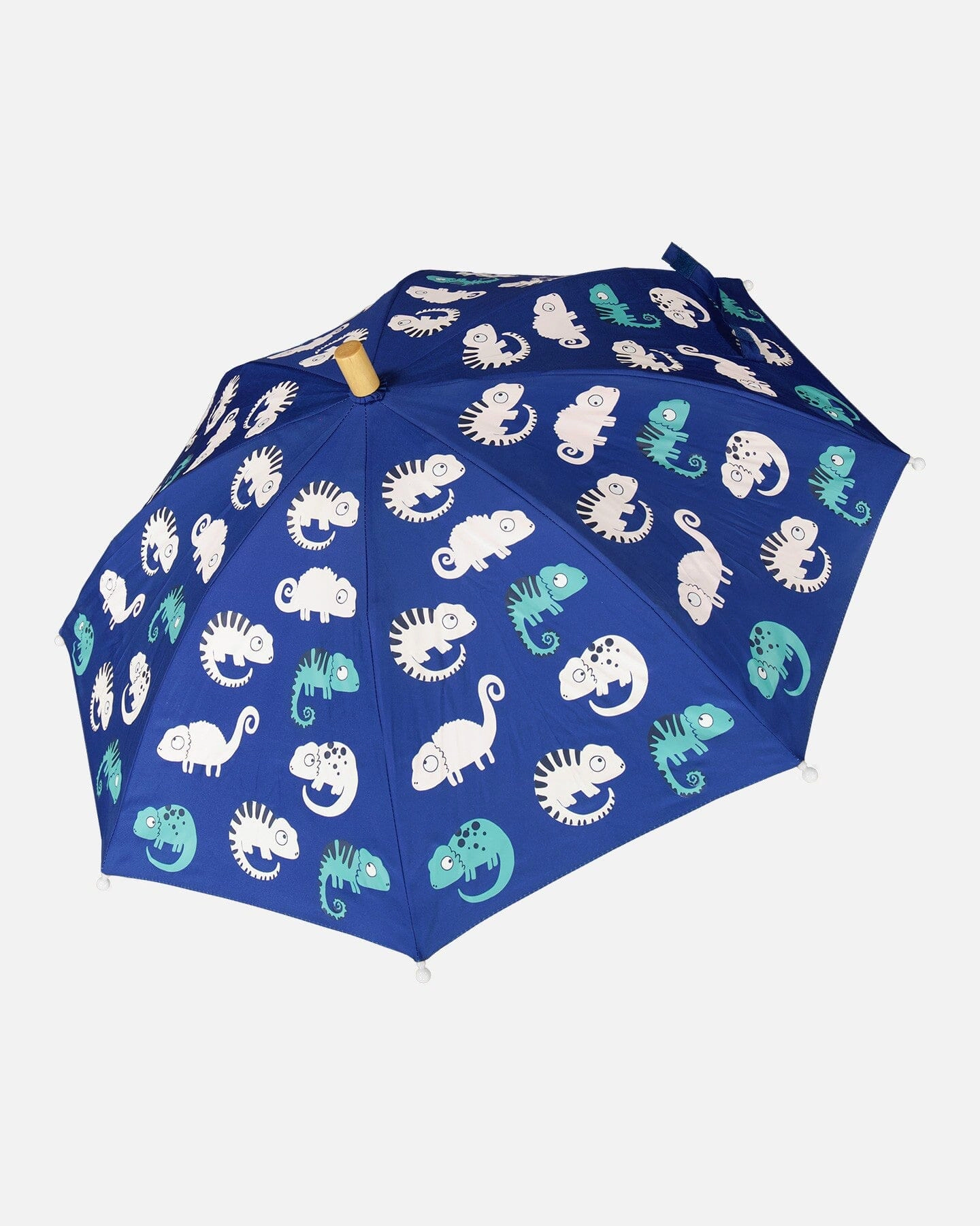 Deux par Deux Boys Color-Changing Umbrella Chameleon Print