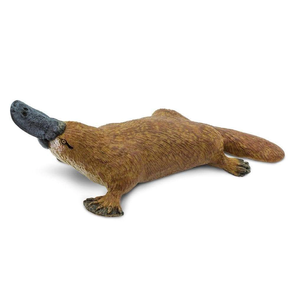 Safari Ltd. - Platypus Kids Toy Figure