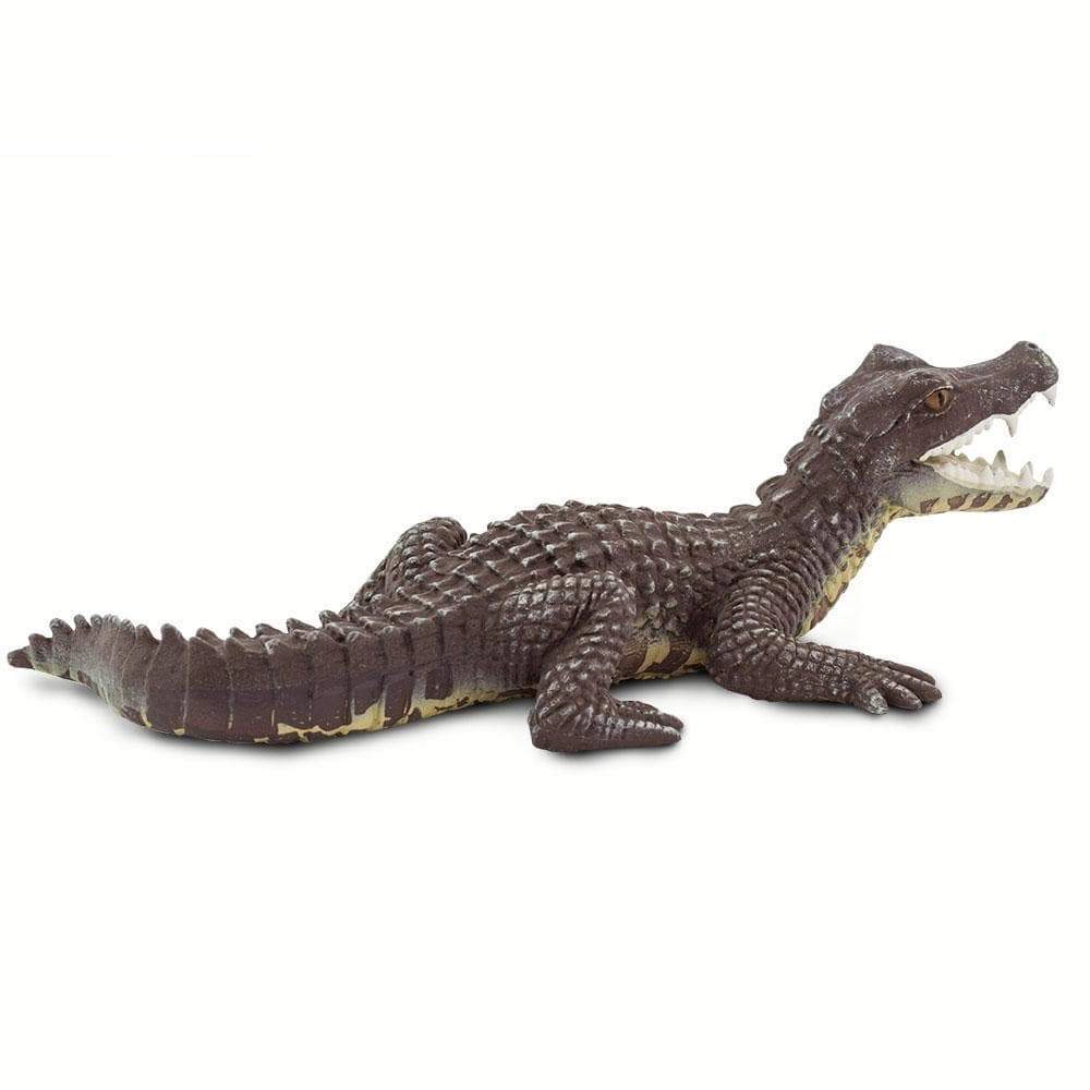 Safari Ltd. - Caiman Kids Toy Figure