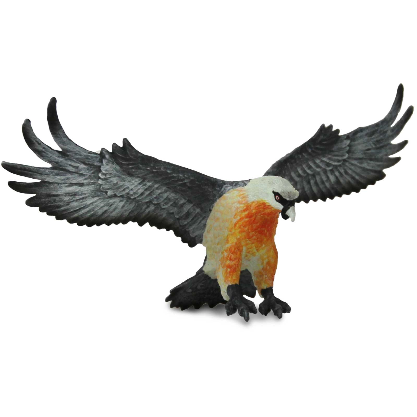 Safari Ltd. - Bearded Vulture Kids Toy Figure