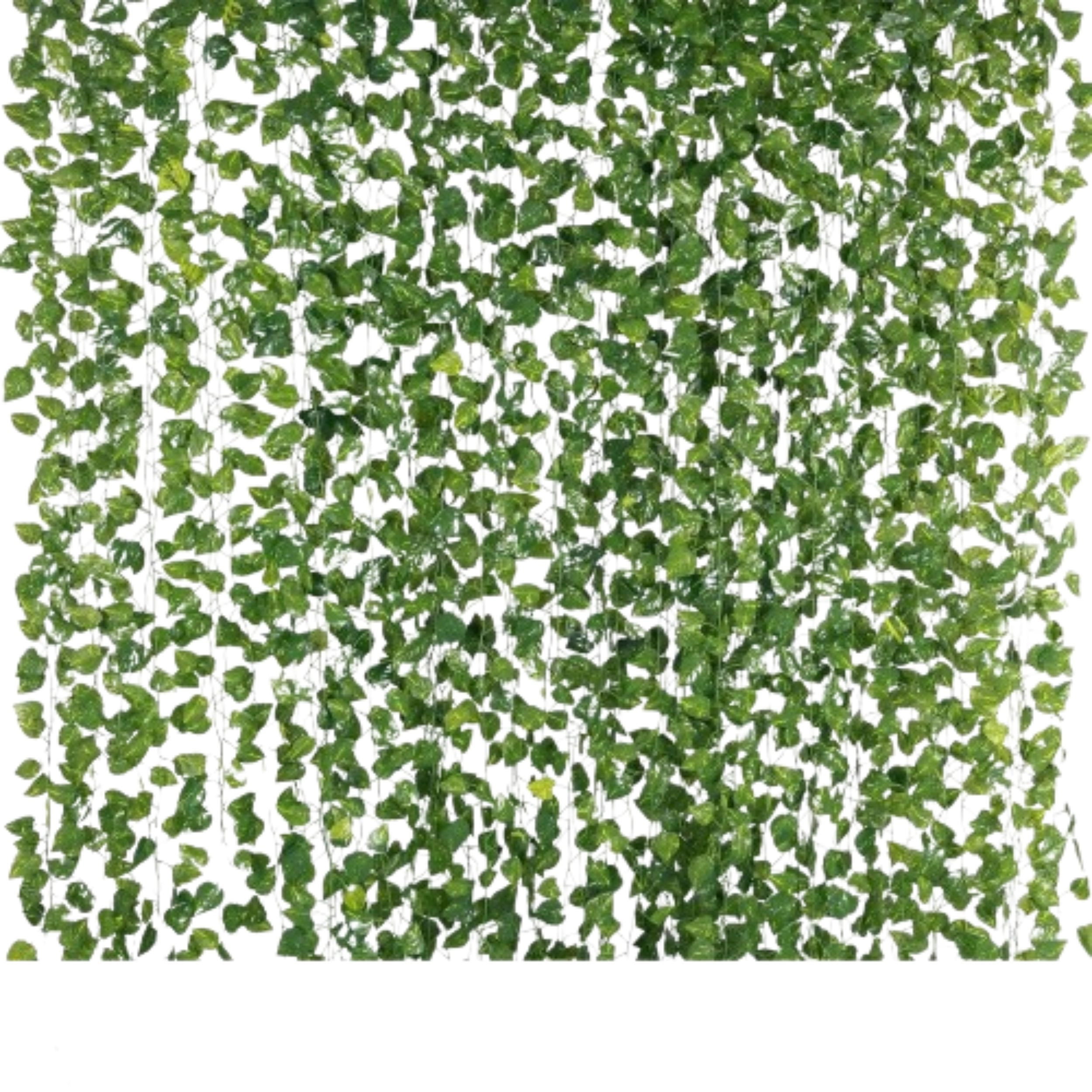 Home Collection Pack of 12 Artificial Ivy Hanging Garland Vine Plants 6.6 Ft