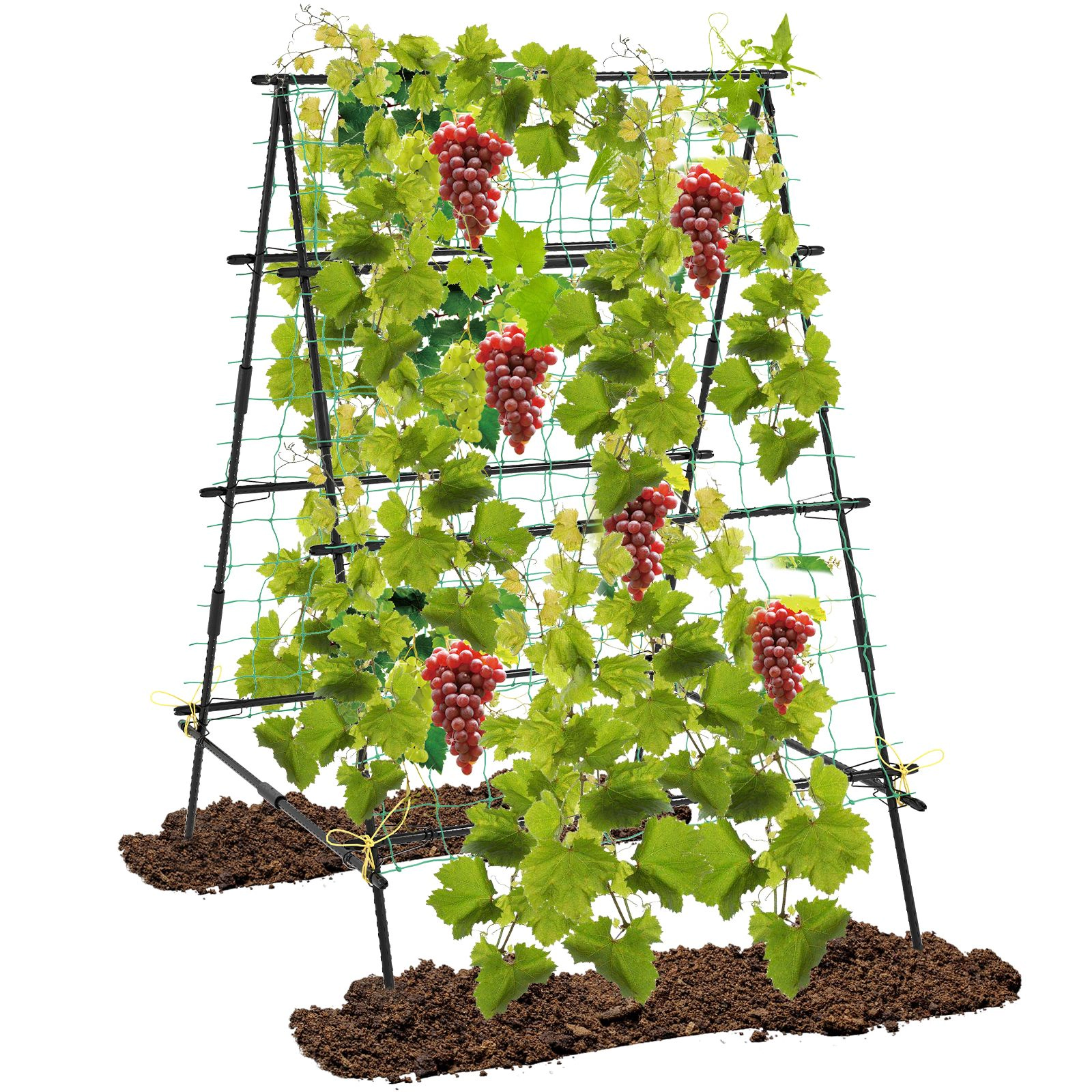 SlickBlue Black PE-Coated Metal Plant Support Trellis with Garden Netting
