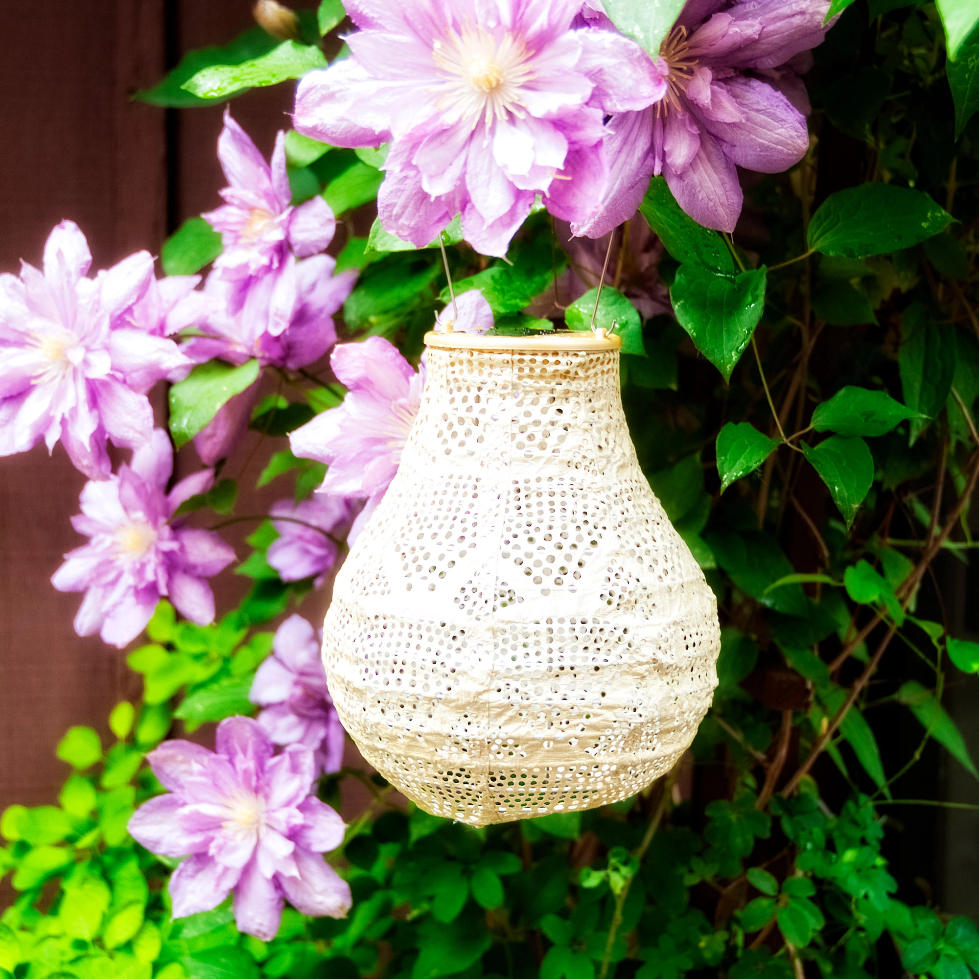 Allsop Home & Garden Soji Stella Bulb 8 Solar Lantern