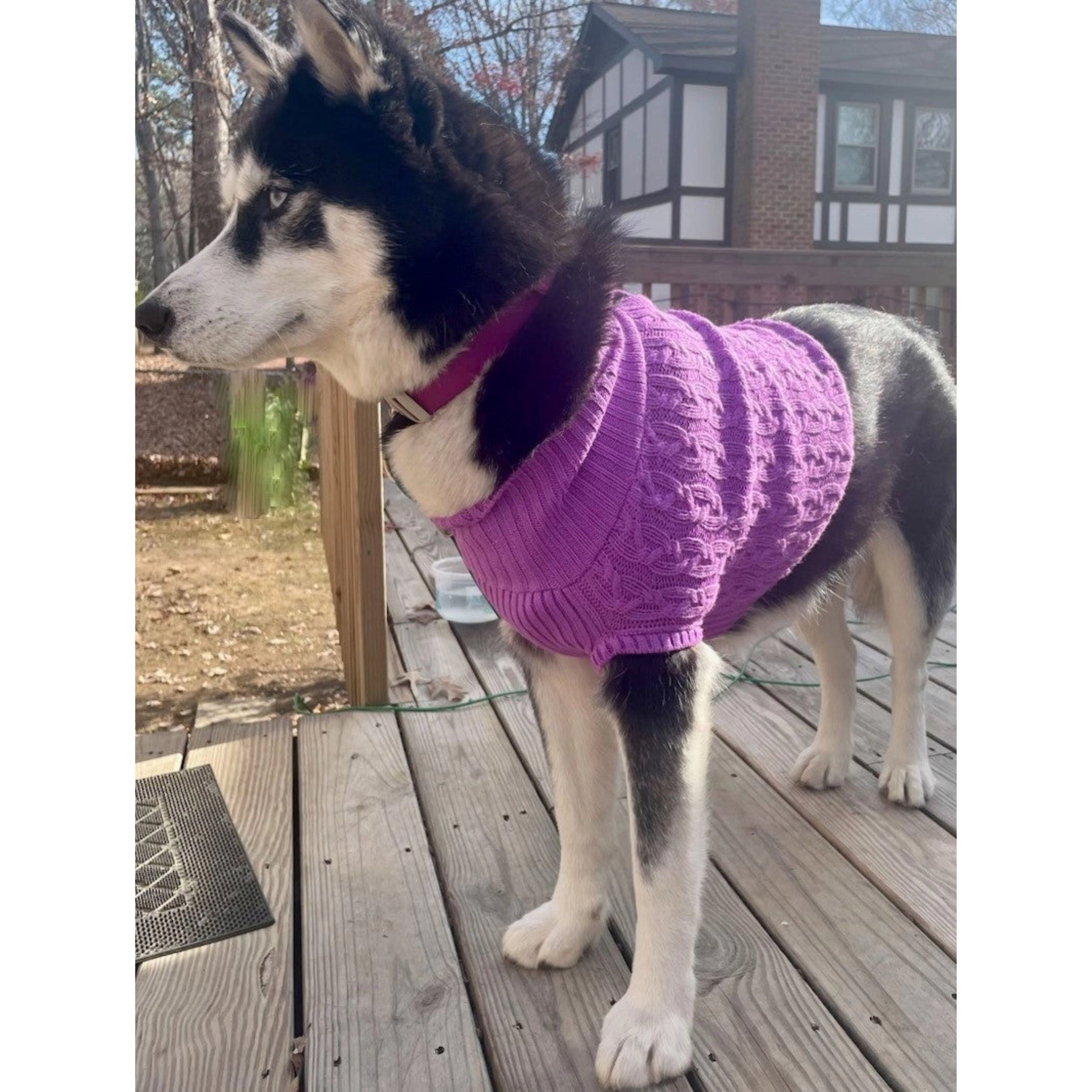 Wear Sierra Dog and Cat Colorful Knitted Turtleneck Sweater