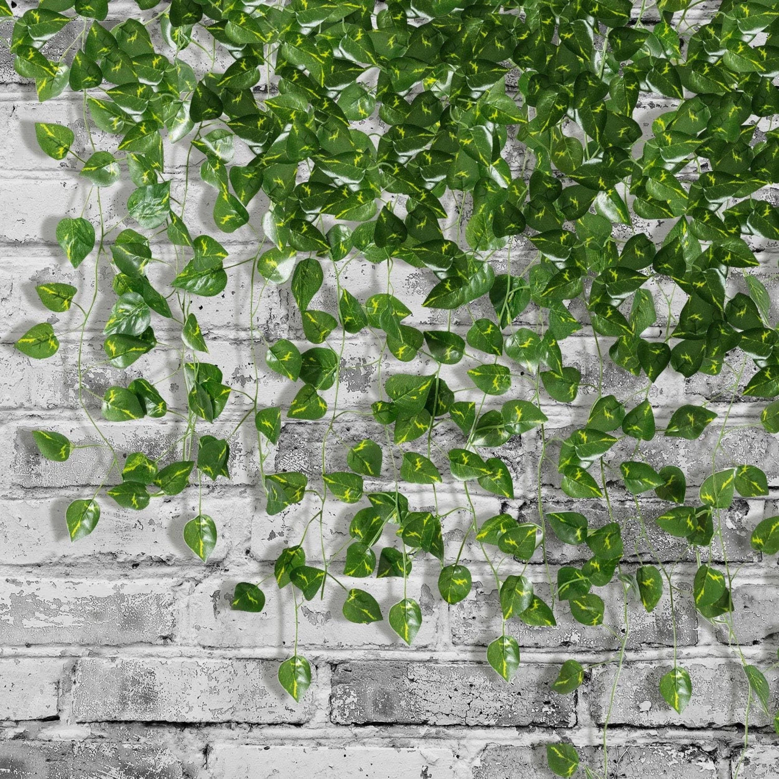 Home Collection Pack of 12 Artificial Ivy Hanging Garland Vine Plants 6.6 Ft