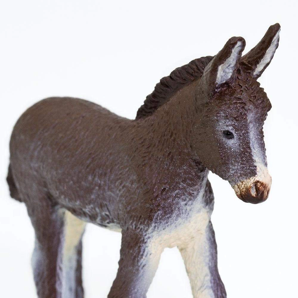 Safari Ltd. - Donkey Foal Kids Toy Figure