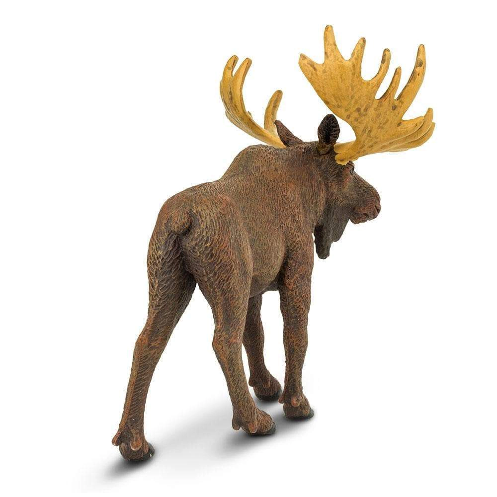 Safari Ltd. - Moose Kids Toy Figure