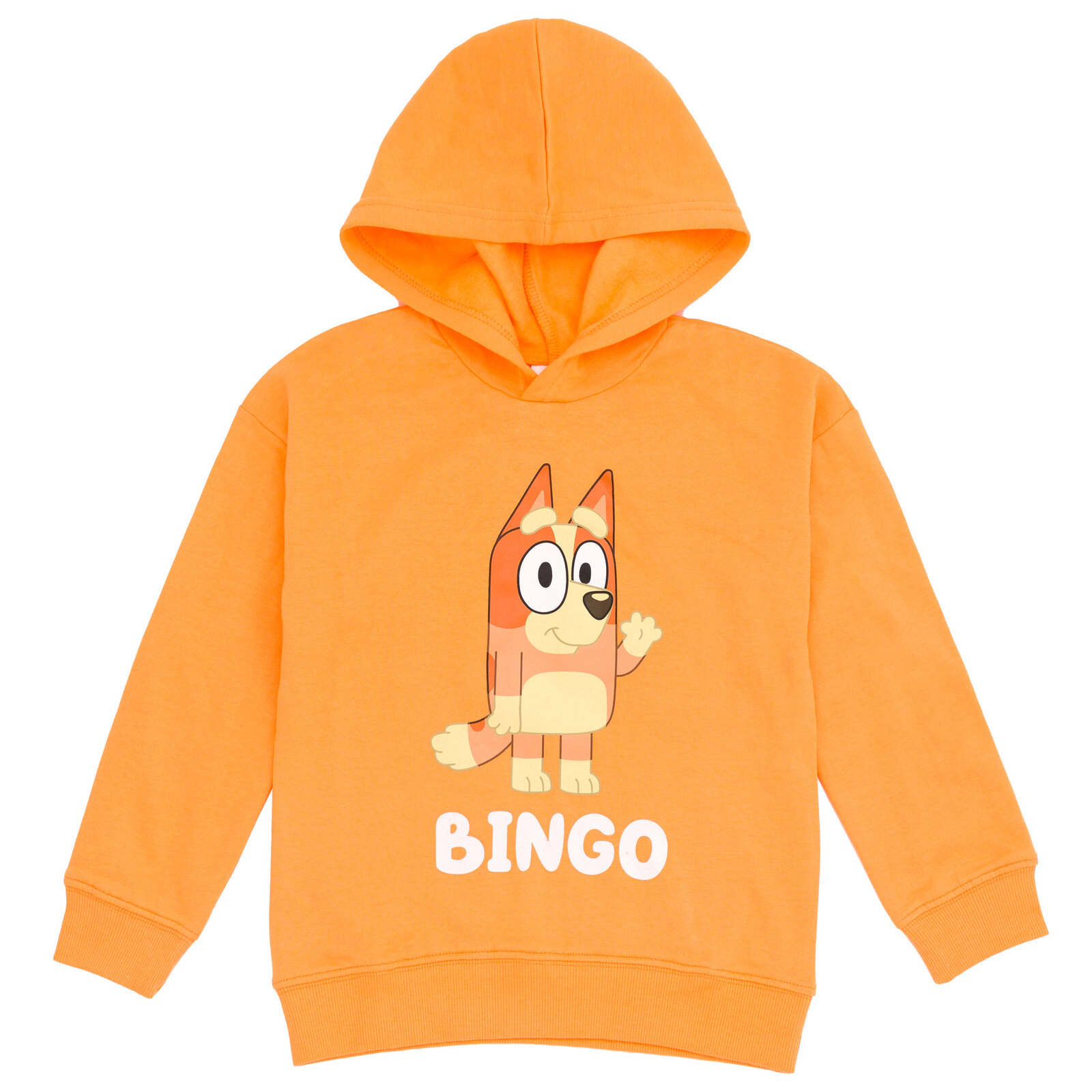 Bluey Boys' Fleece 2-Piece Hoodie and Pants Set