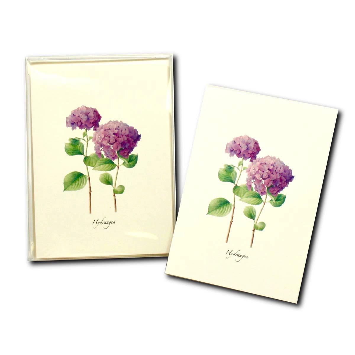 Earth Sky + Water Hydrangea Notecard Set II - 8 Blank 3.5 x 5 in Cards with Envelopes