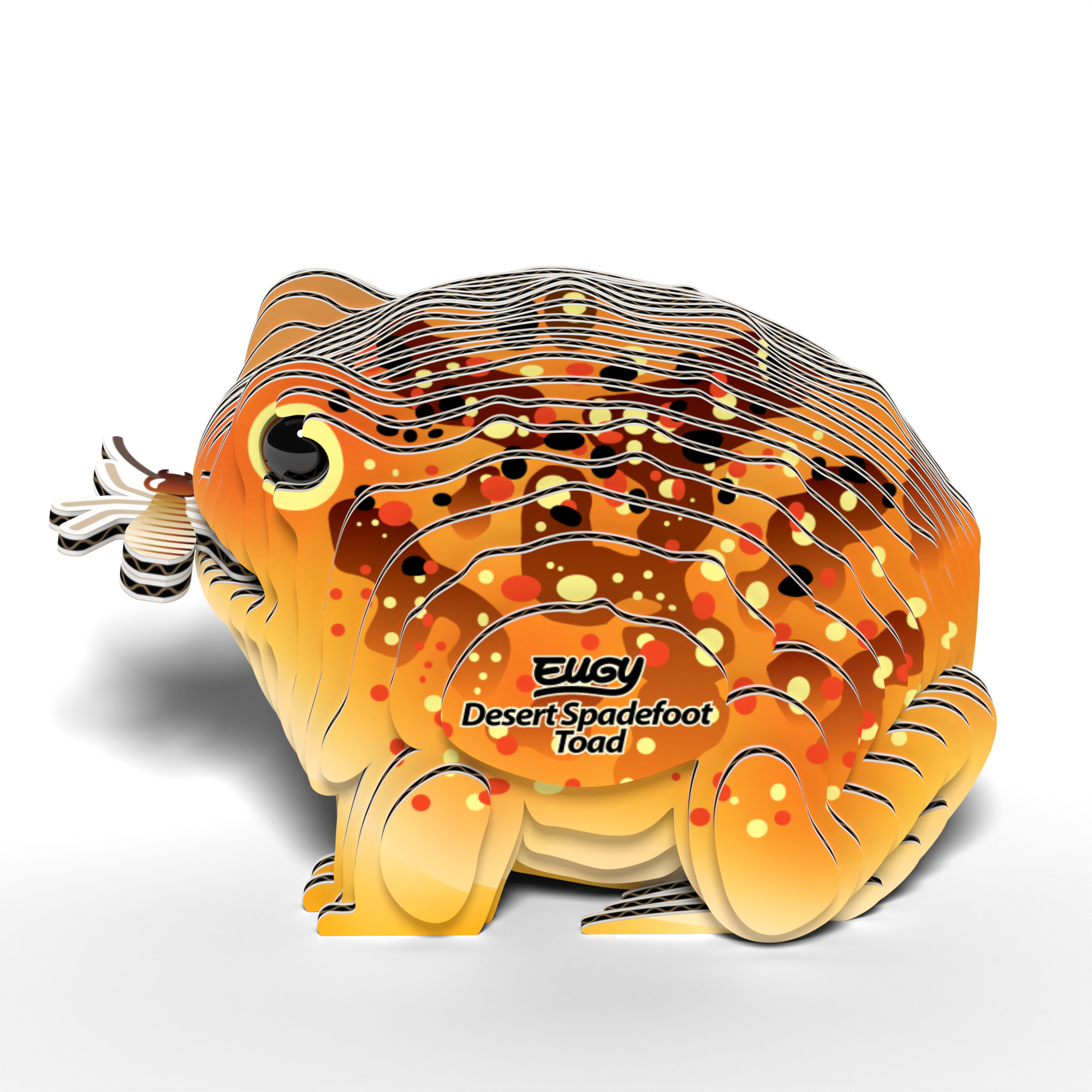 EUGY Desert Spadefoot Toad 3D Puzzle - contains 32 puzzle pieces