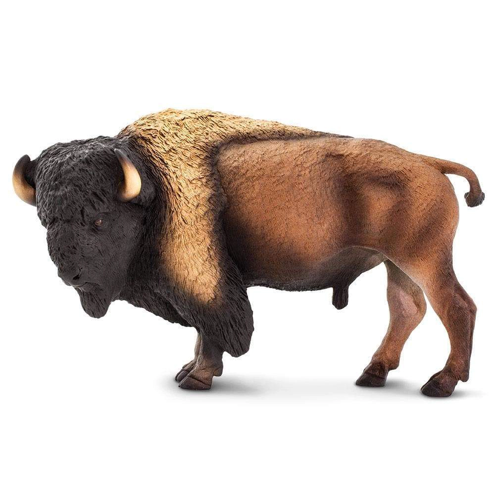 Safari Ltd. - Bison Kids Toy Figure