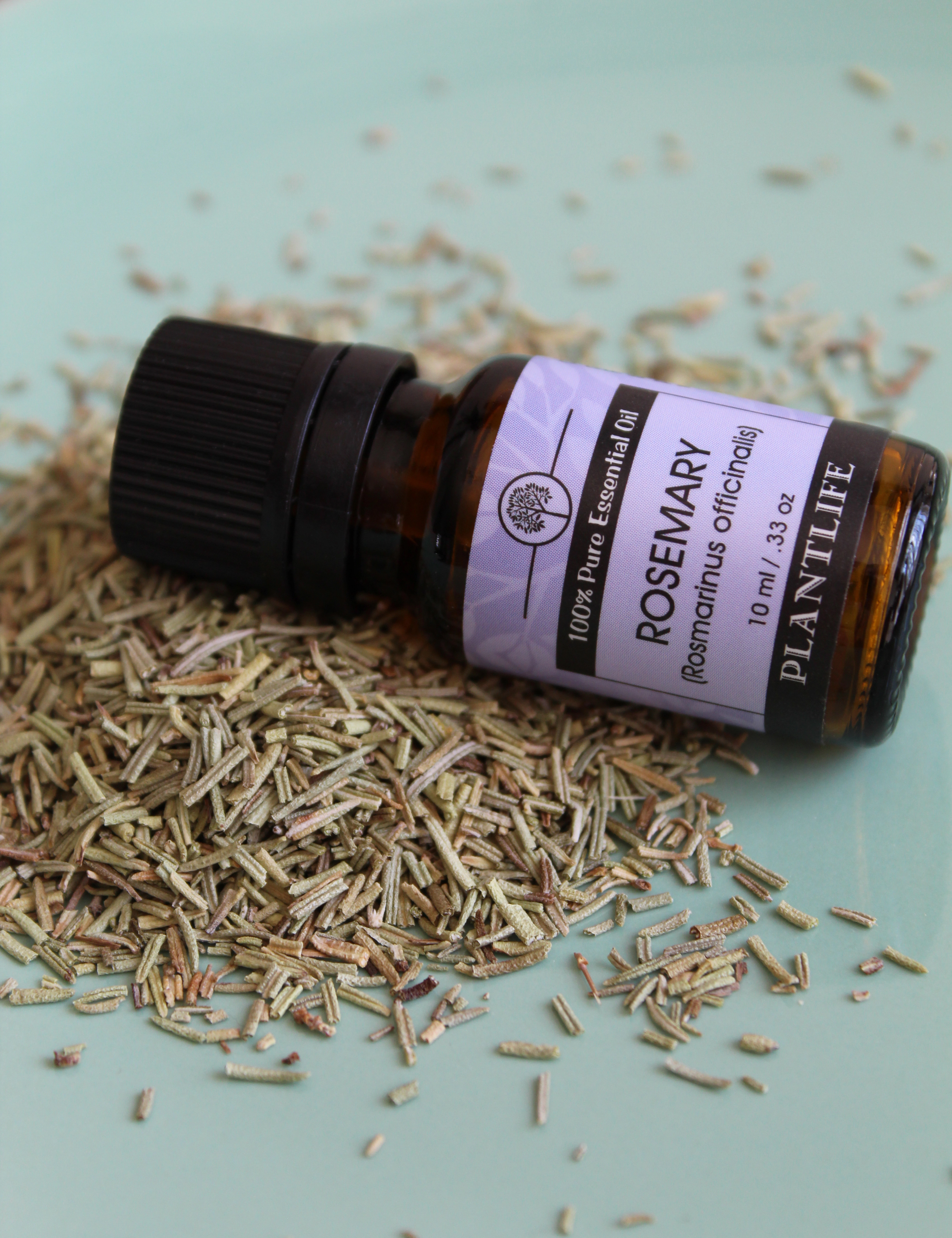 Plantlife Basic Sampler Essential Oil Set 6-Pack