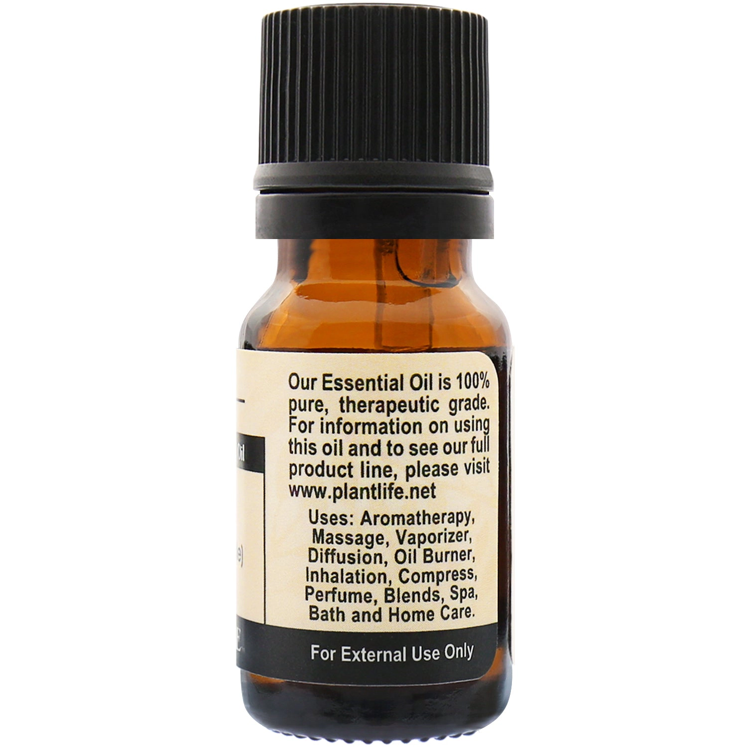 Plantlife Ginger Essential Oil