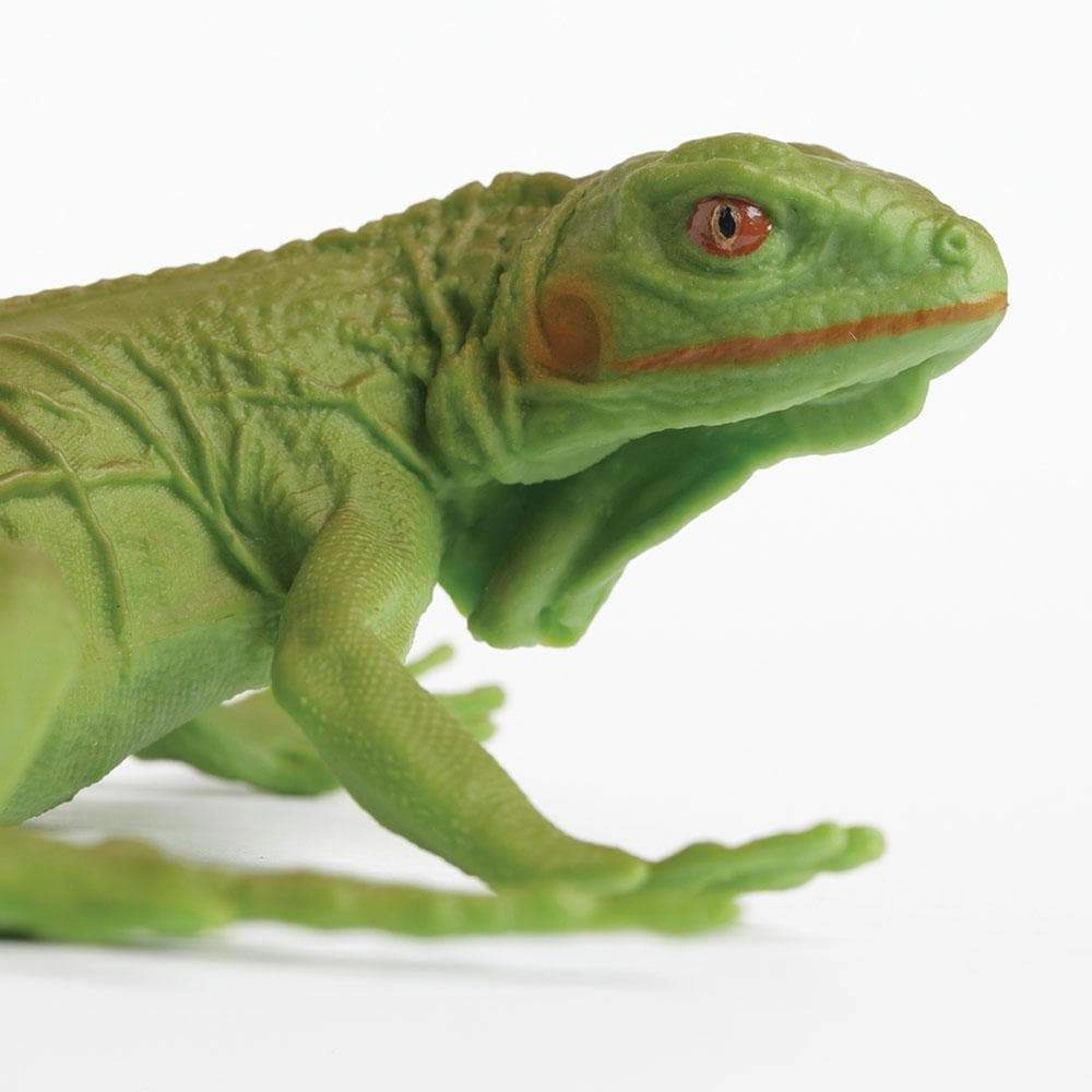 Safari Ltd. - Iguana Baby Kids Toy Figure