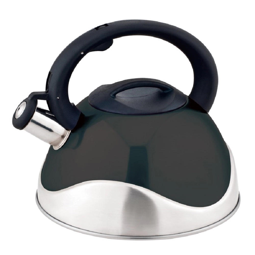 J&V TEXTILES Stainless Steel Whistling Tea Kettle