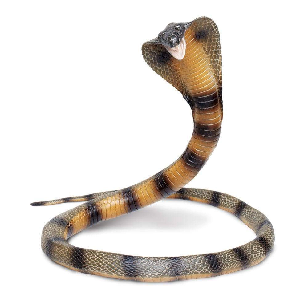 Safari Ltd. - Cobra Kids Toy Figure