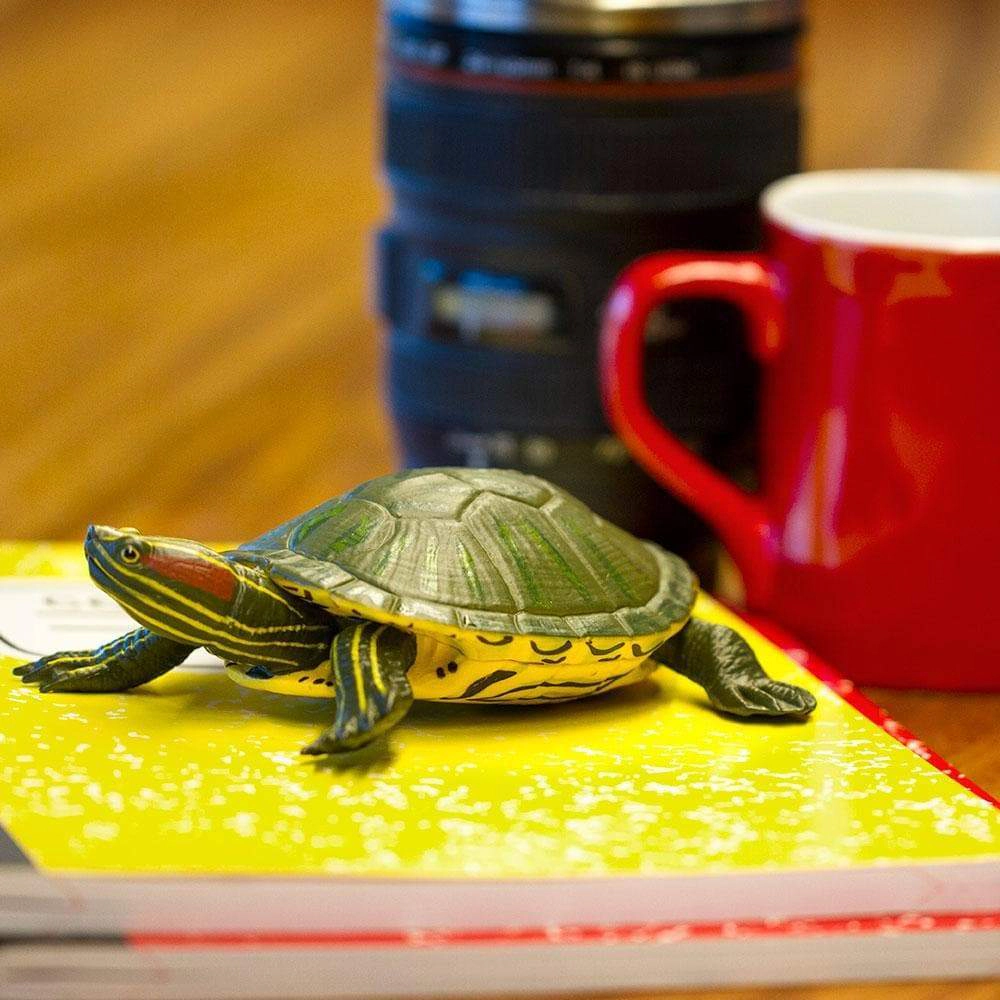 Safari Ltd. - Red-Eared Slider Turtle Kids Toy Figure