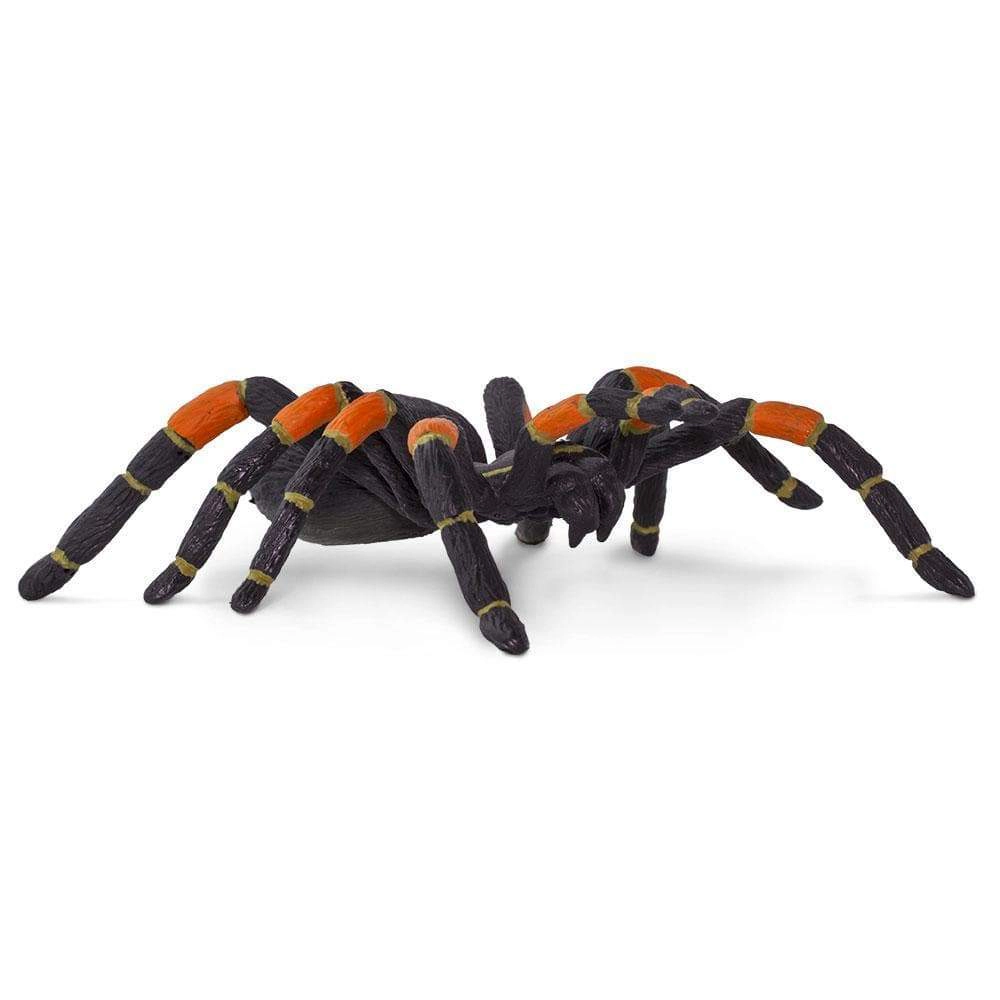 Safari Ltd. - Orange-kneed Tarantula Kids Toy Figure