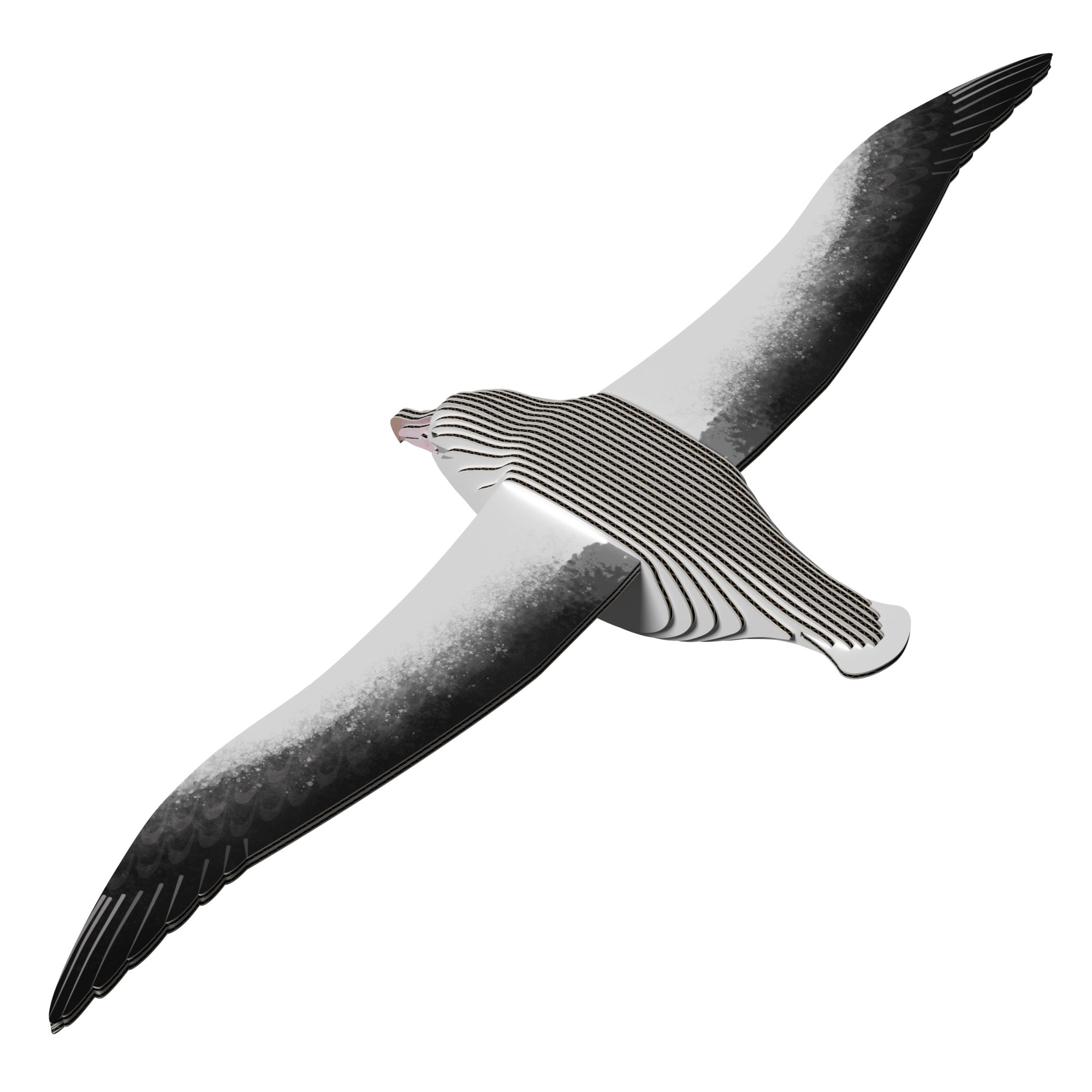 EUGY Royal Albatross 3D Puzzle - contains 25 puzzle pieces