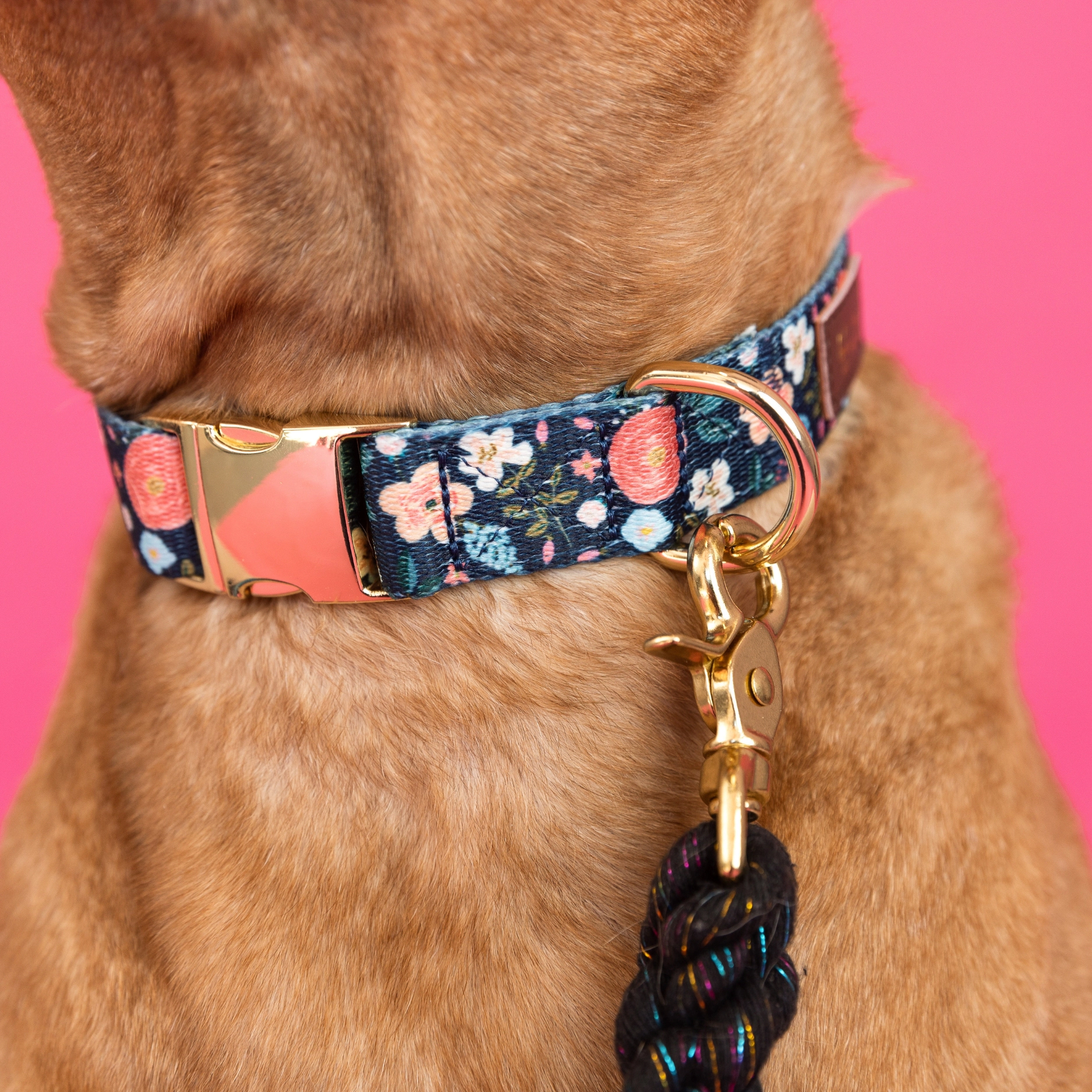 Pink Papyrus Gianna Dog Collar